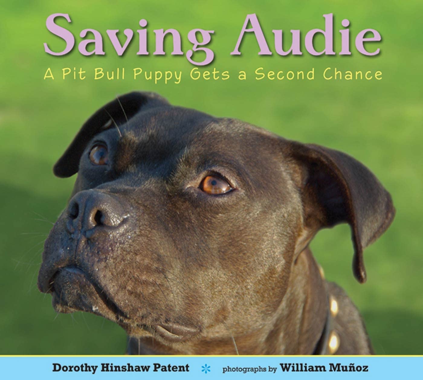 Saving Audie: A Pit Bull Puppy Gets a Second Chance Non-fiction