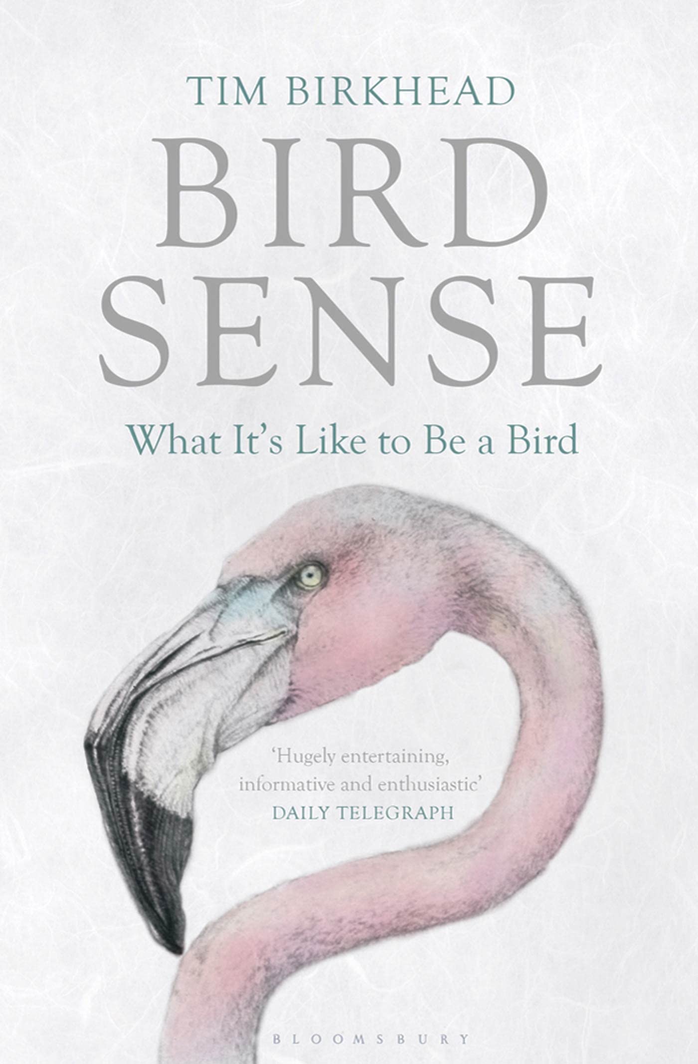 Bird Sense: What It's Like to Be a Bird Natural Sciences
