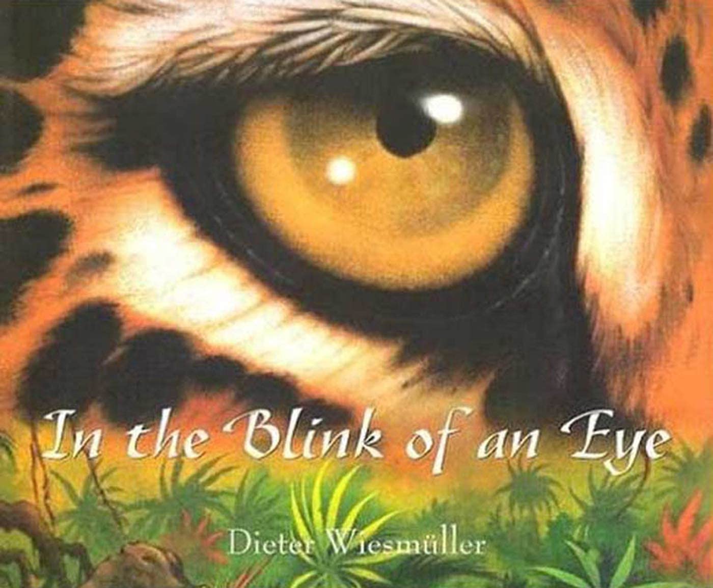 In the Blink of an Eye book