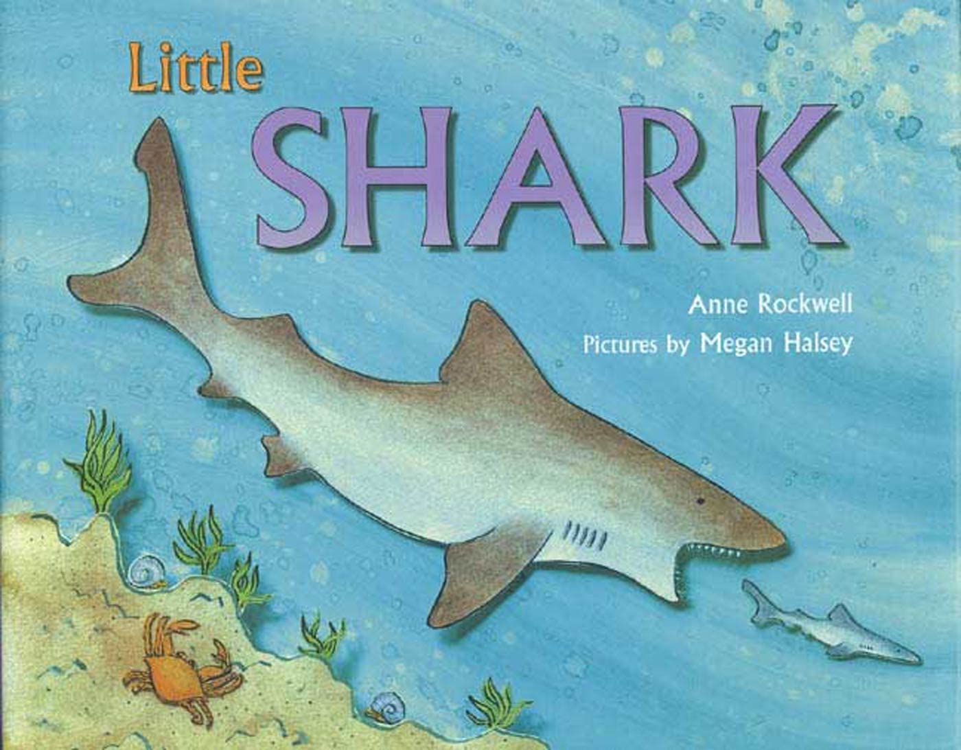 Little Shark book