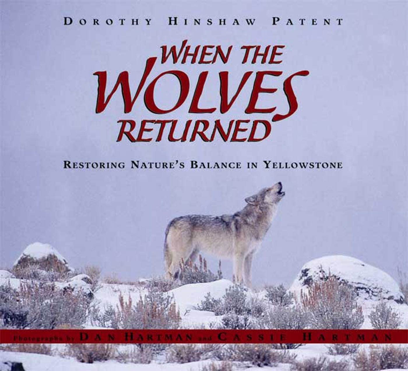 When the Wolves Returned: Restoring Nature's Balance in Yellowstone book