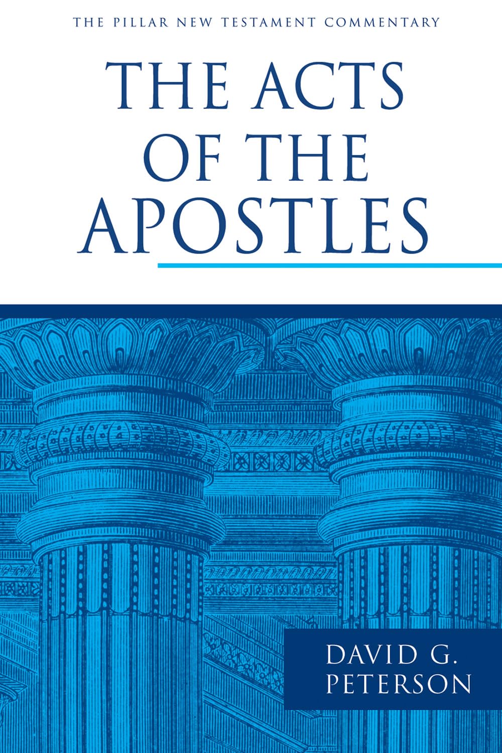 The Acts of the Apostles (Pillar New Testament Commentary) Religion & Esotericism