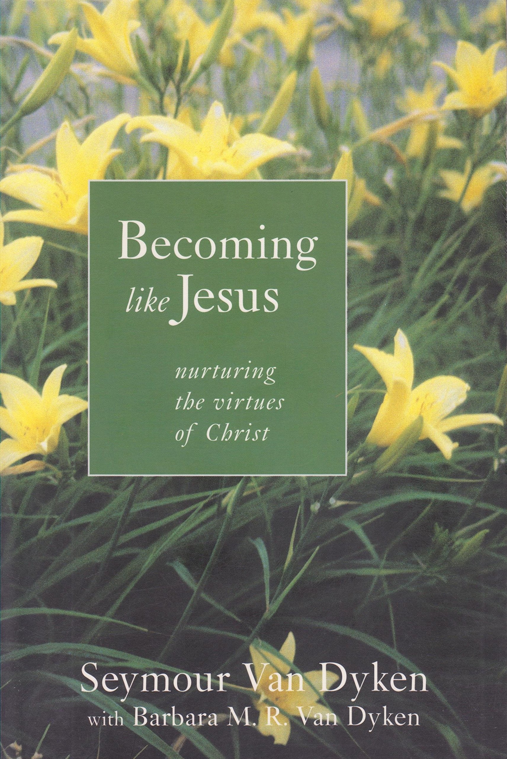 Becoming Like Jesus: Nurturing the Virtues of Christ : The Fruit of the Spirit in Human Experience Religion & Esotericism