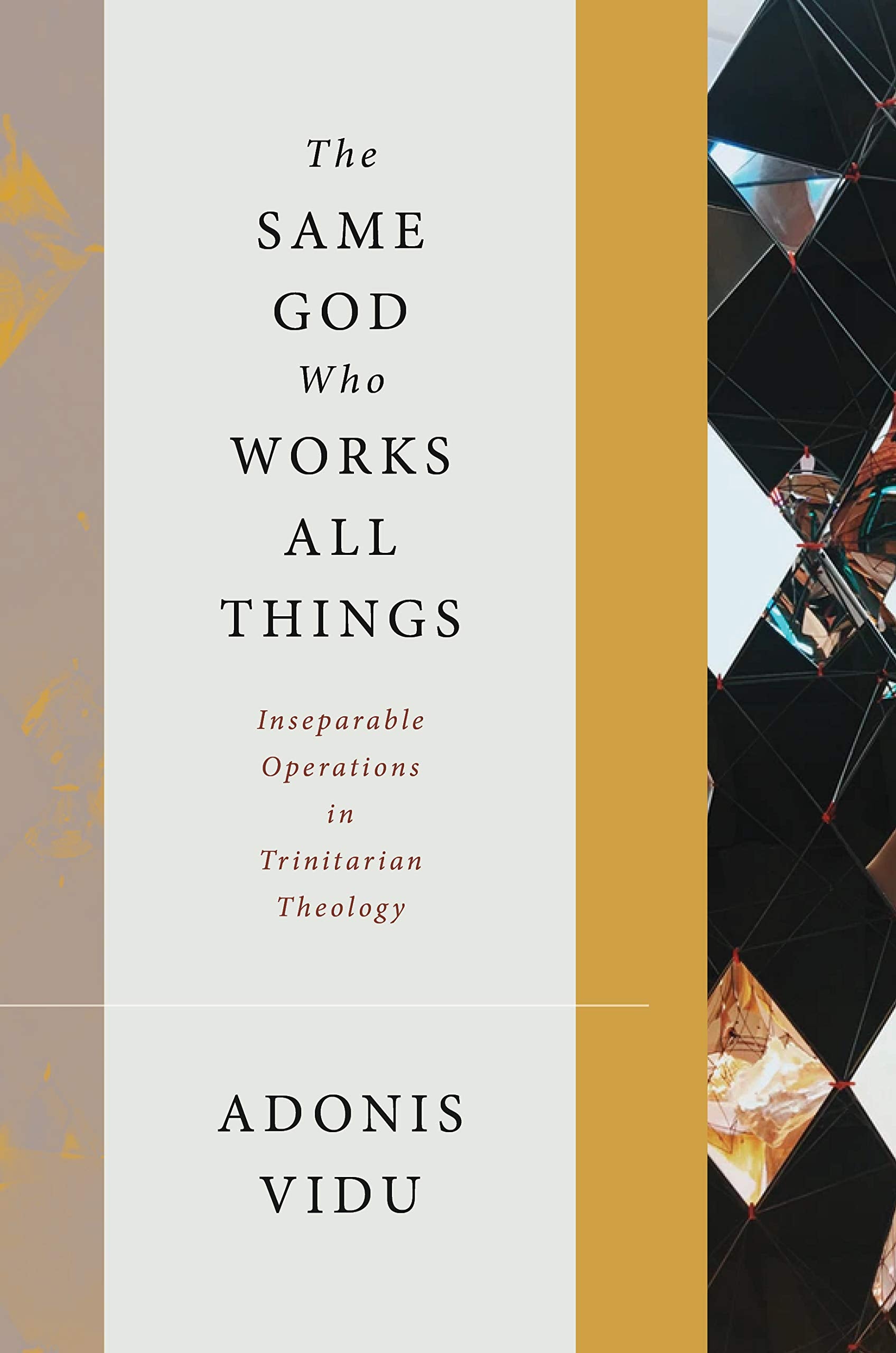 The Same God Who Works All Things: Inseparable Operations in Trinitarian Theology Religion & Esotericism