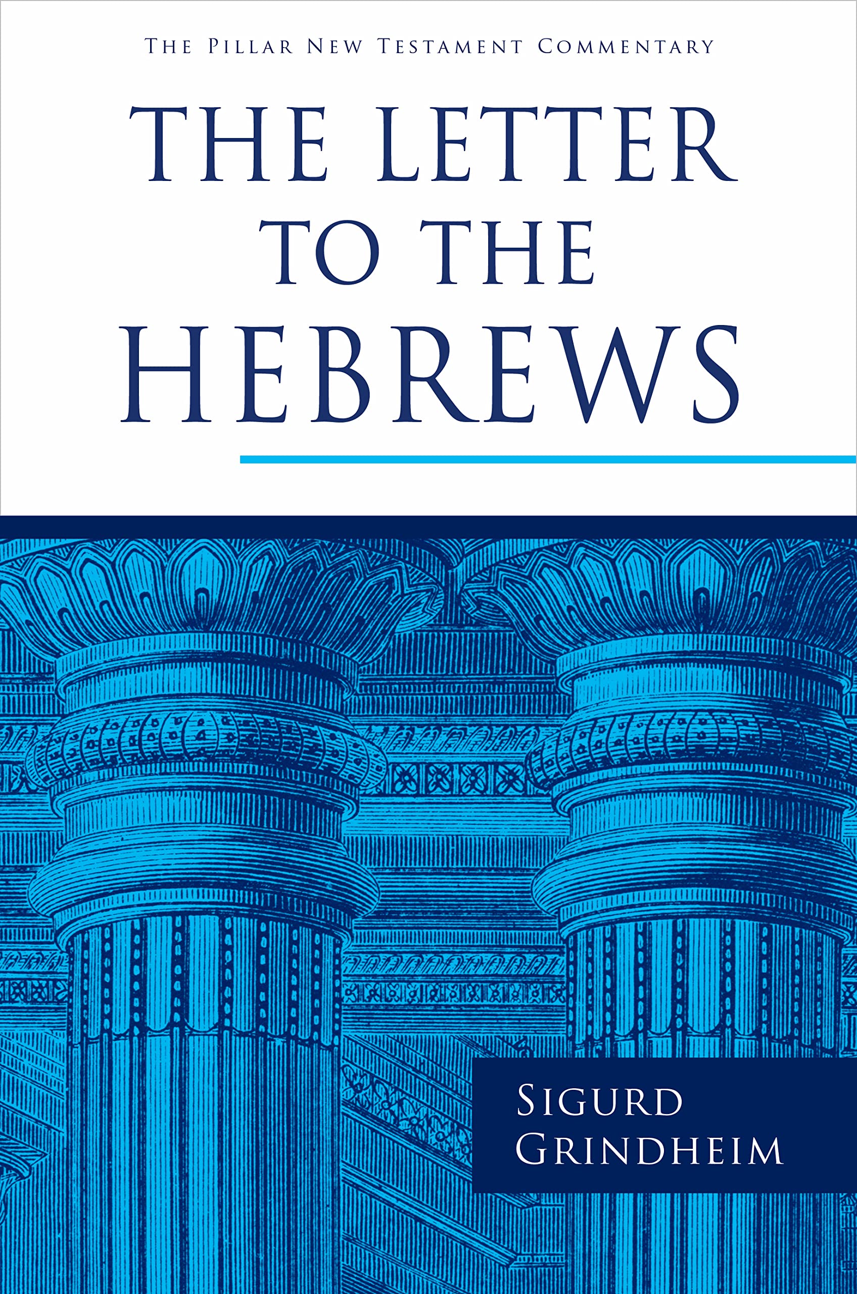 The Letter to the Hebrews (Pillar New Testament Commentary) Social Sciences