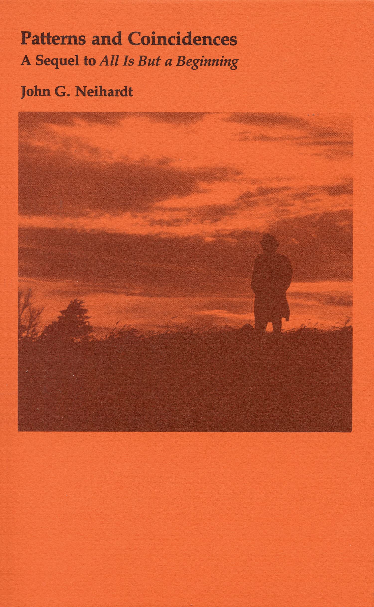 Patterns and Coincidences: A Sequel to "All Is But a Beginning" Contemporary literature