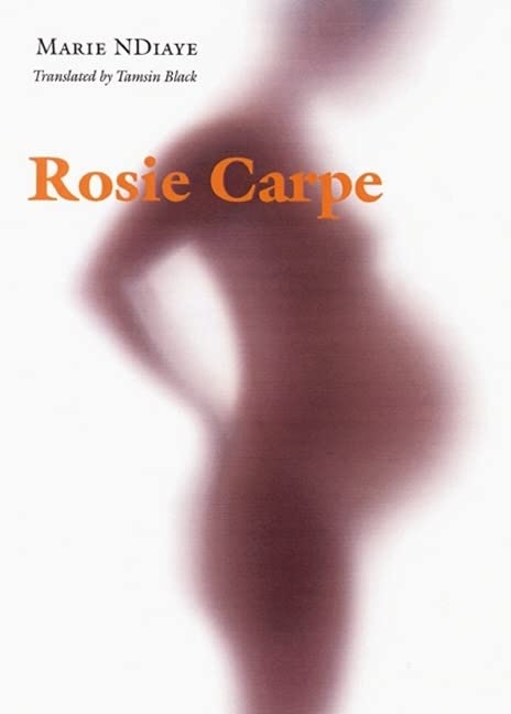 Rosie Carpe (European Women Writers Series) Contemporary literature