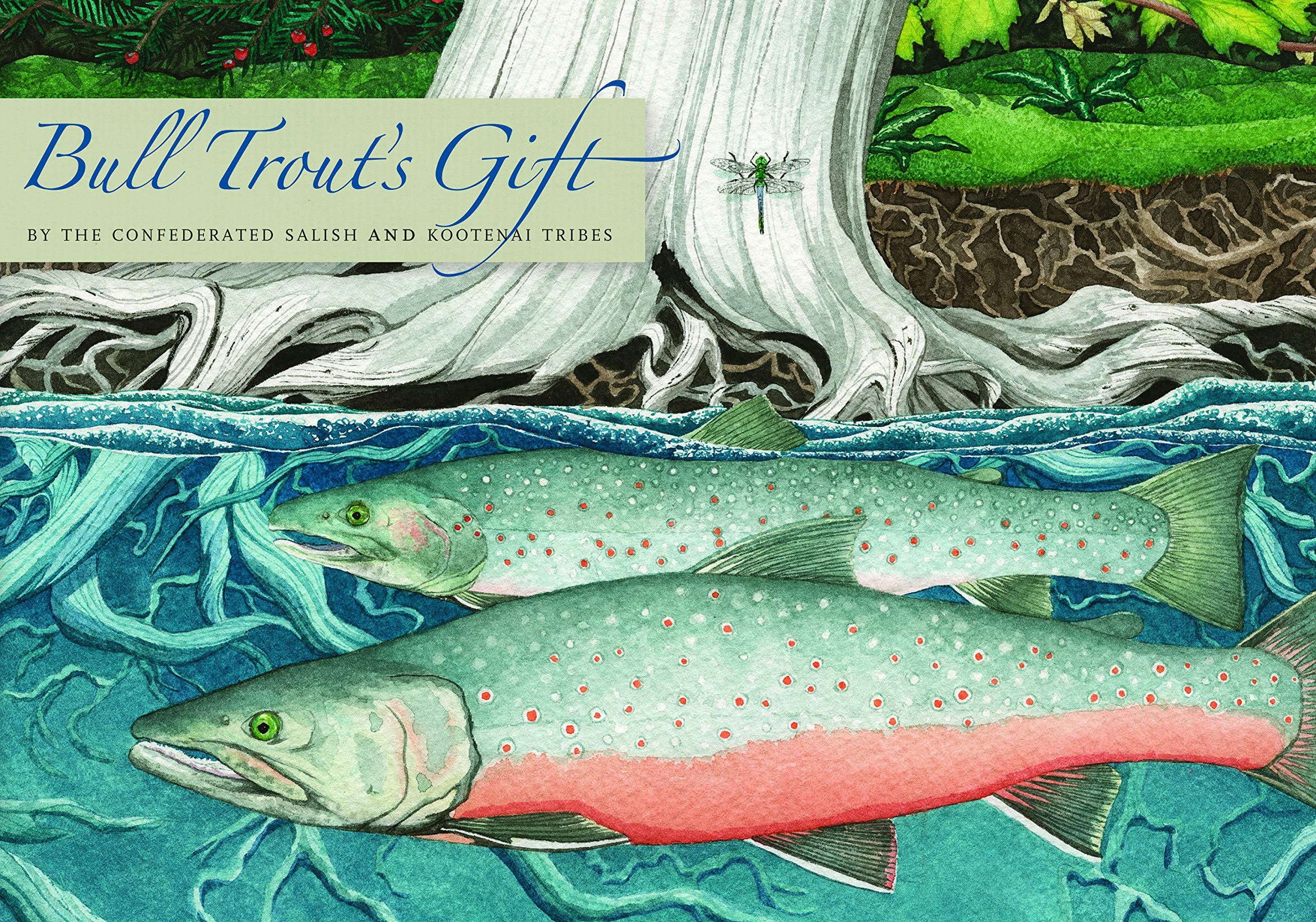 Bull Trout's Gift: A Salish Story about the Value of Reciprocity Business & Technology
