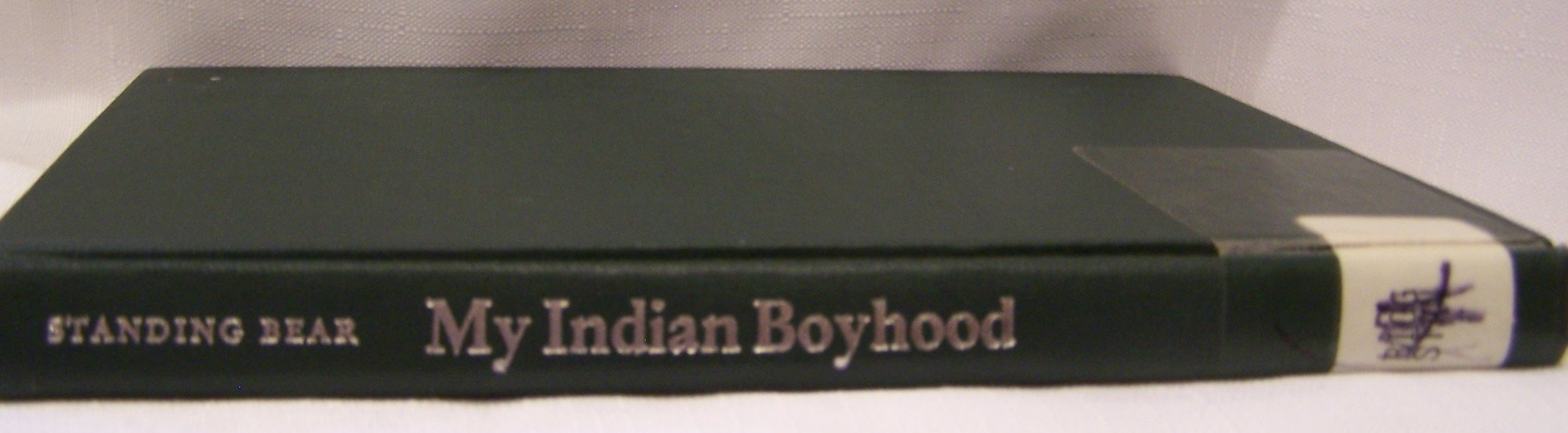 Product Image: My Indian Boyhood