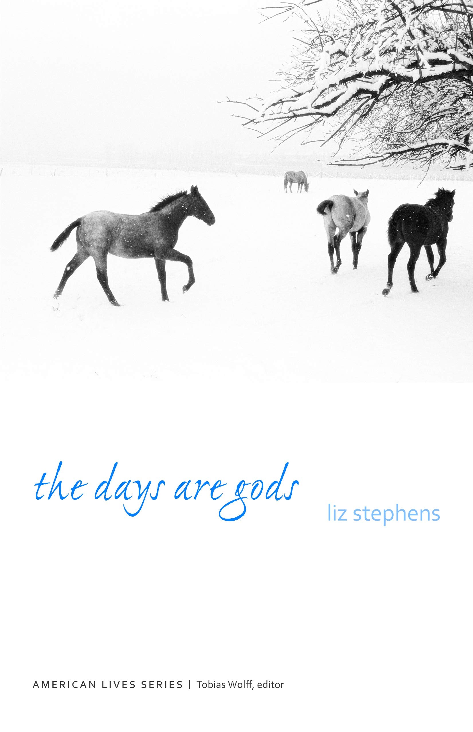 The Days Are Gods (American Lives) Art & Literature