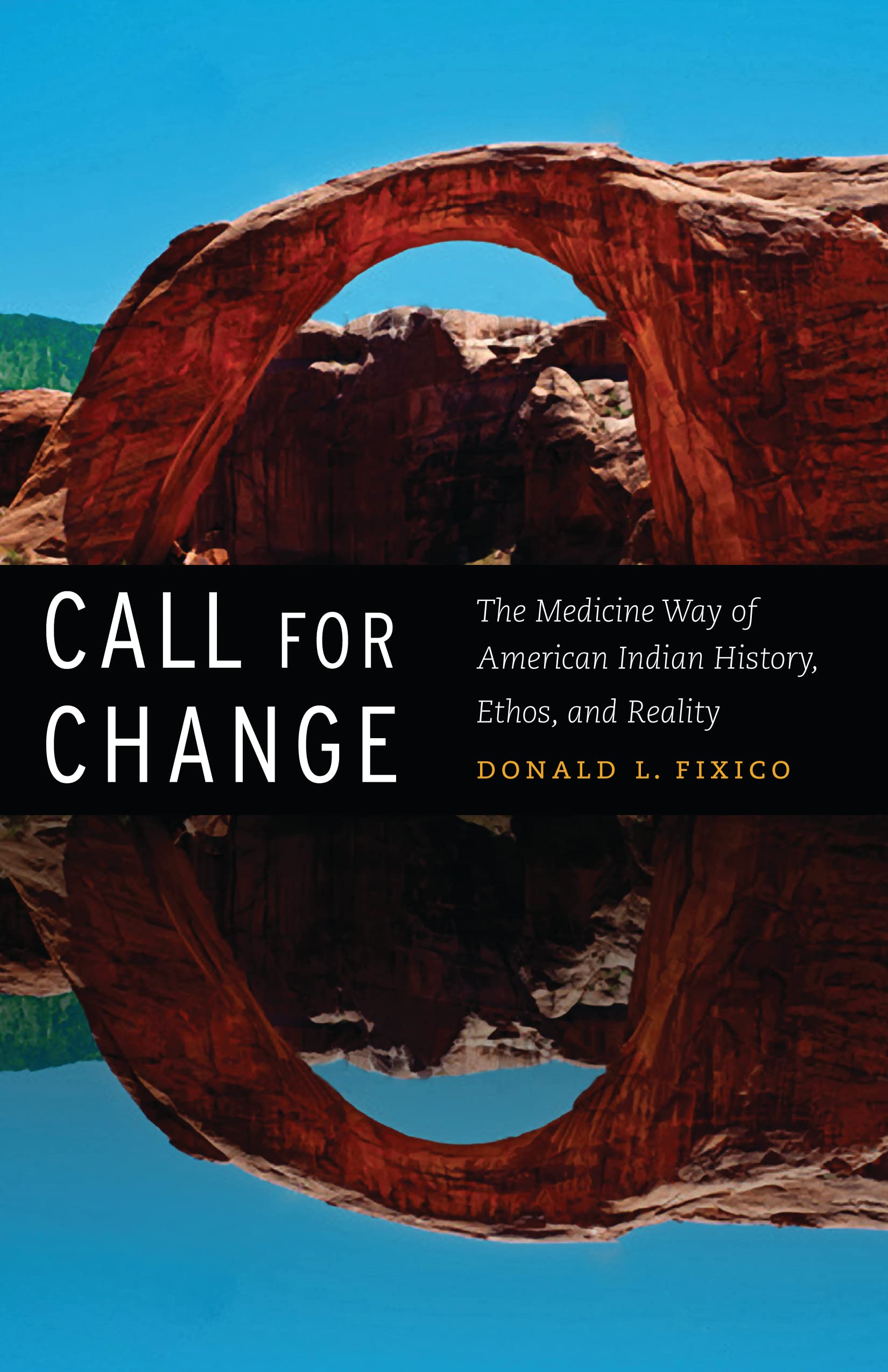 Call for Change: The Medicine Way of American Indian History, Ethos, & Reality Books