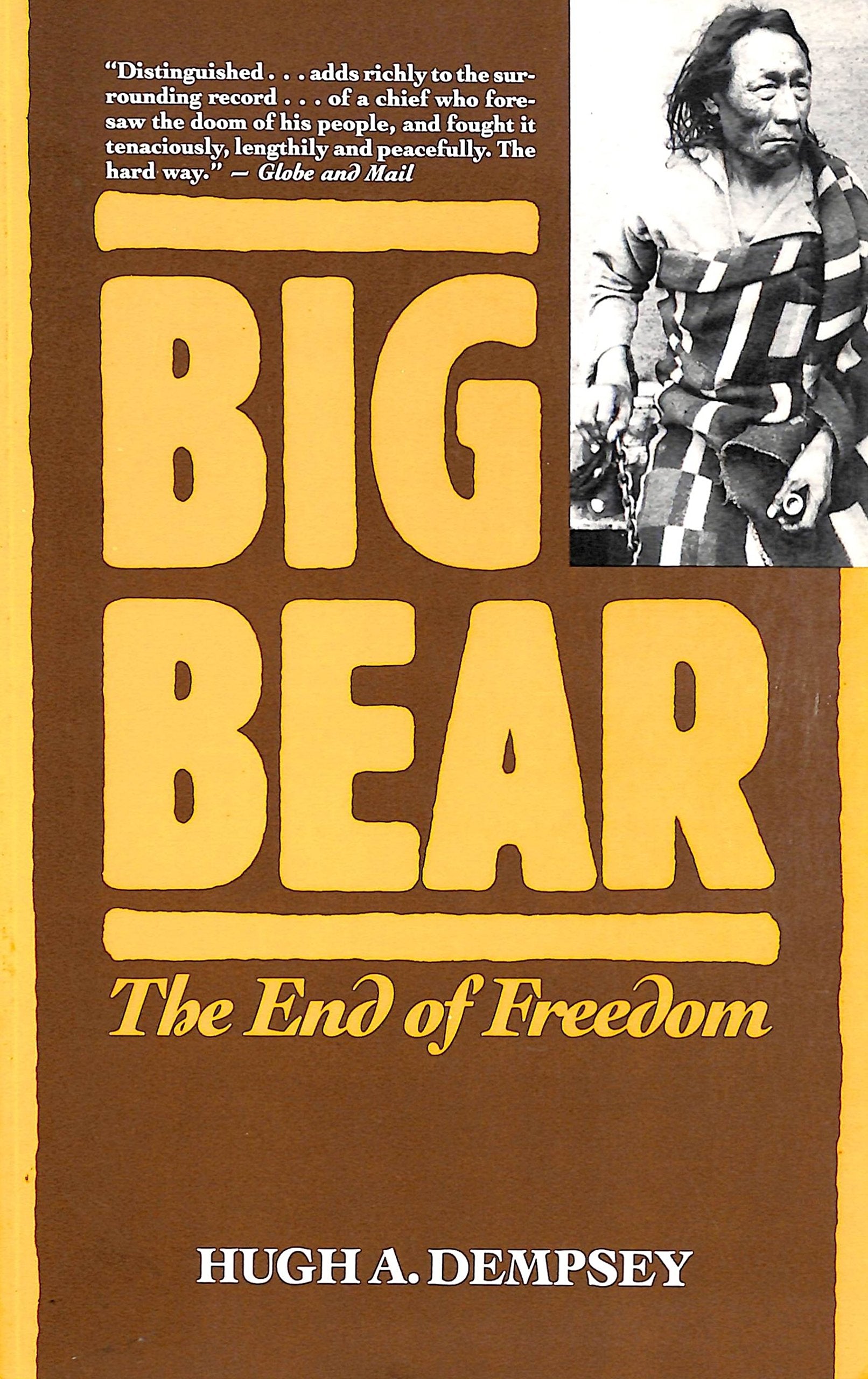 Big Bear: The End of Freedom Memories