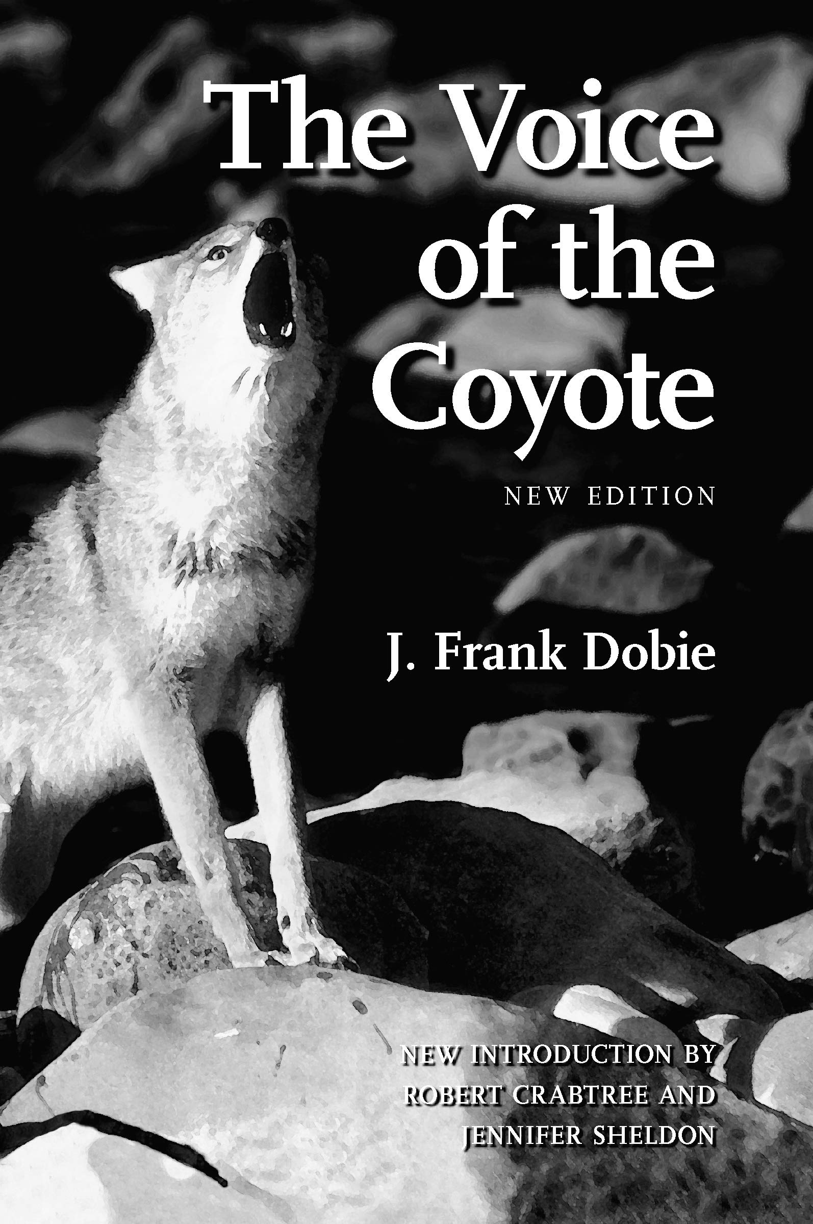 The Voice of the Coyote Social Sciences