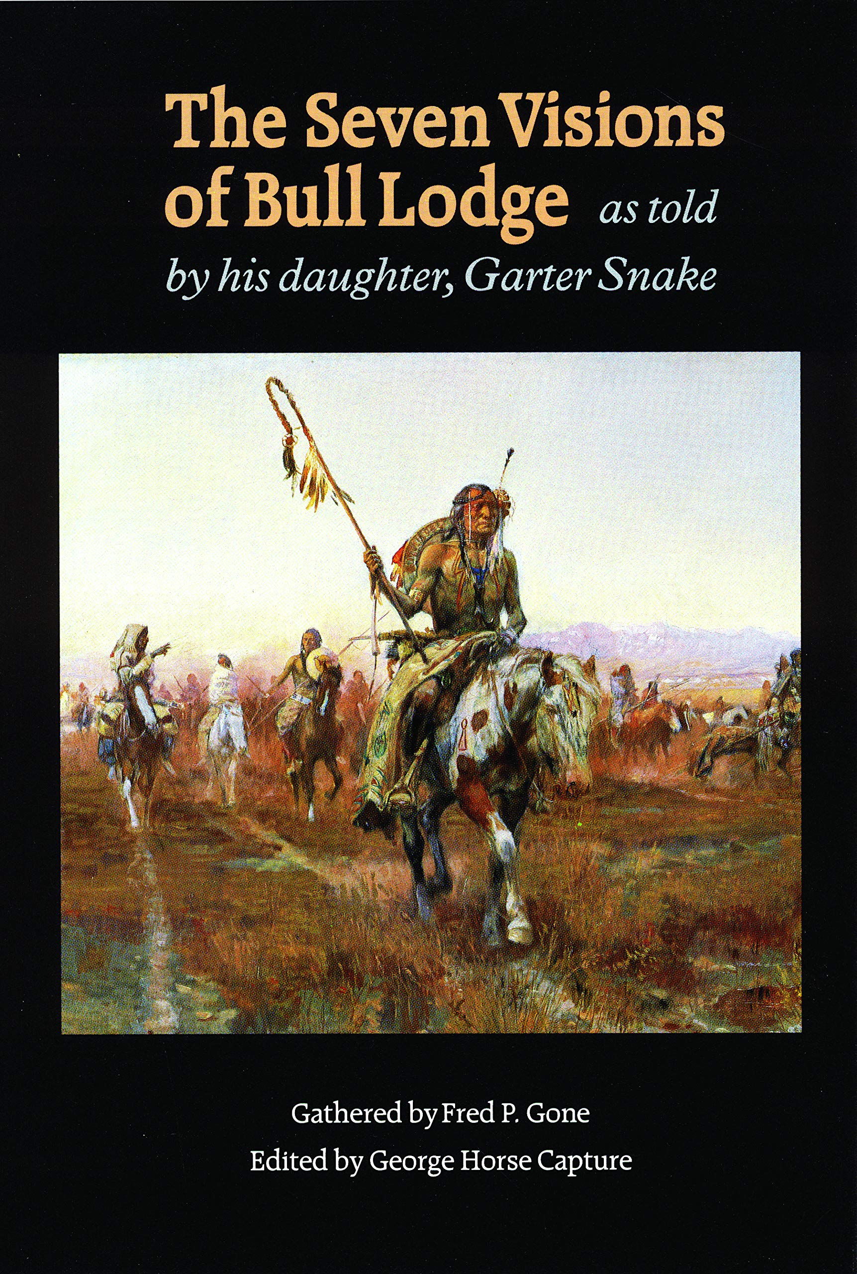 The Seven Visions of Bull Lodge book