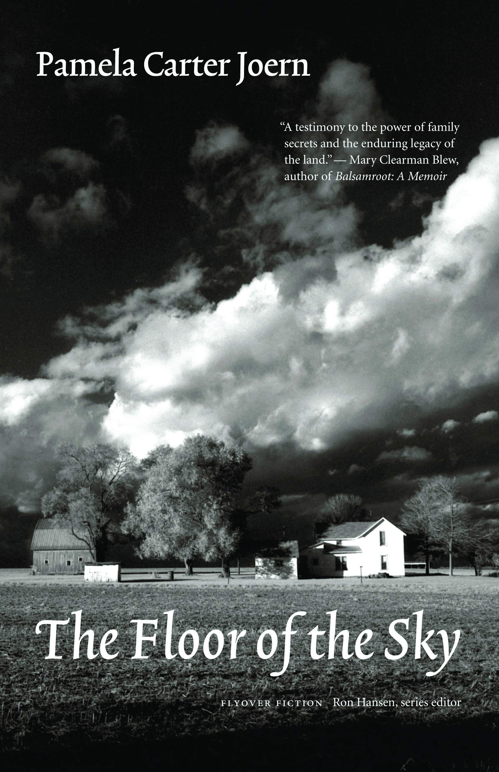 The Floor of the Sky Contemporary literature