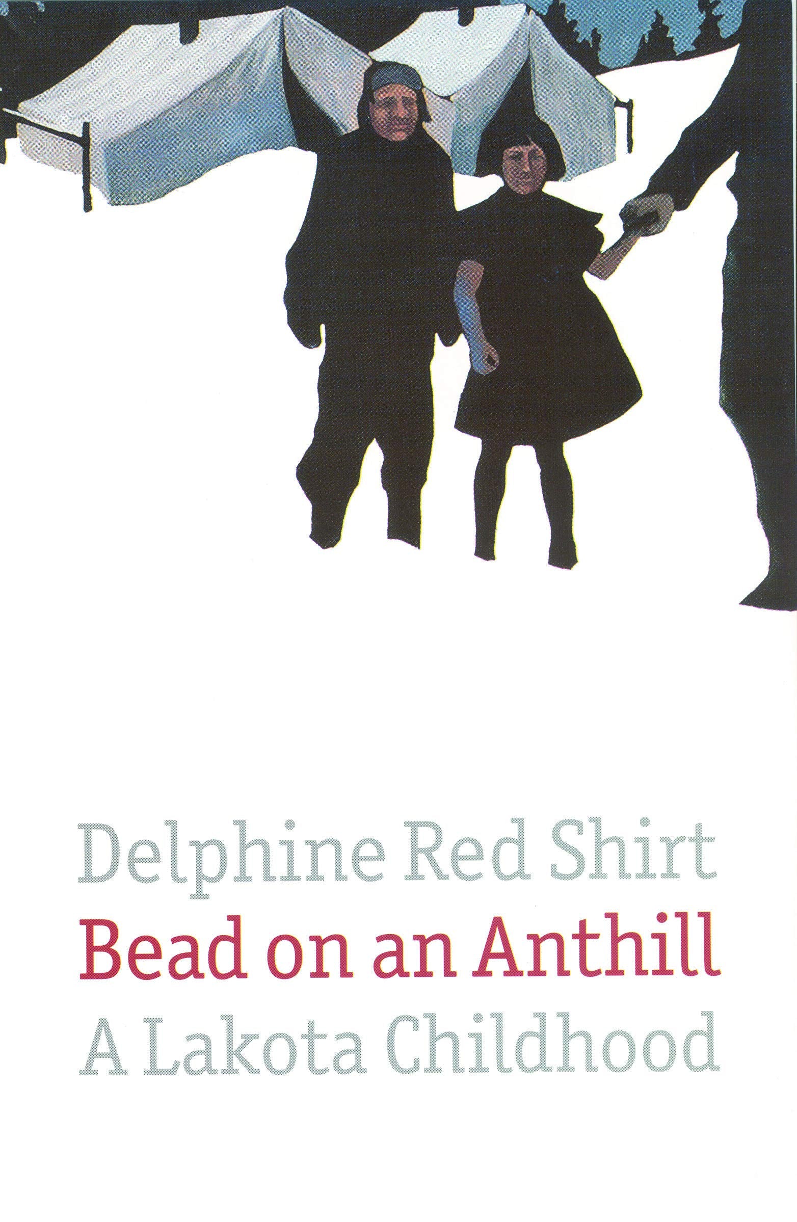 Bead on an Anthill: A Lakota Childhood Books