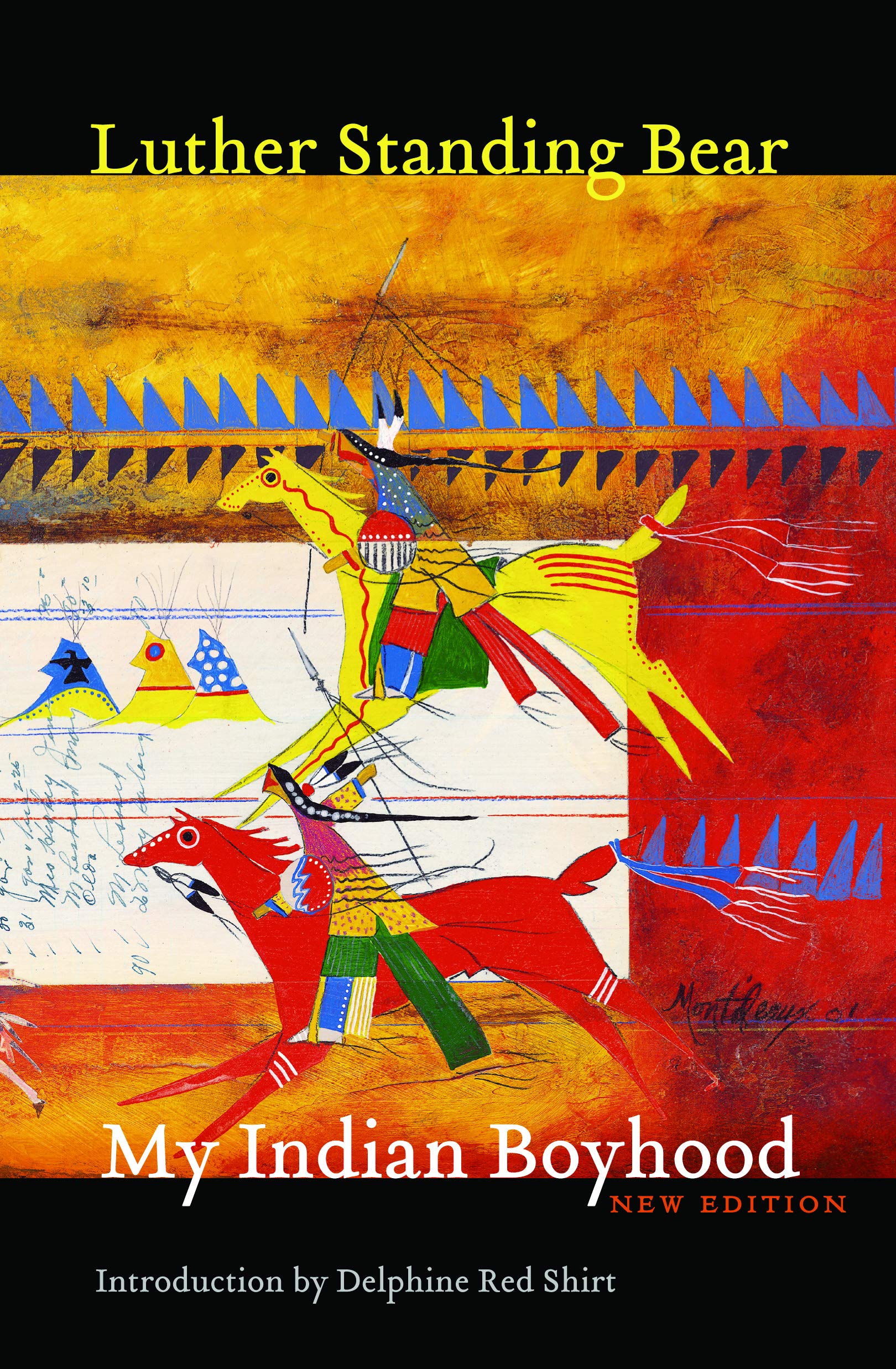 Product Image: My Indian Boyhood