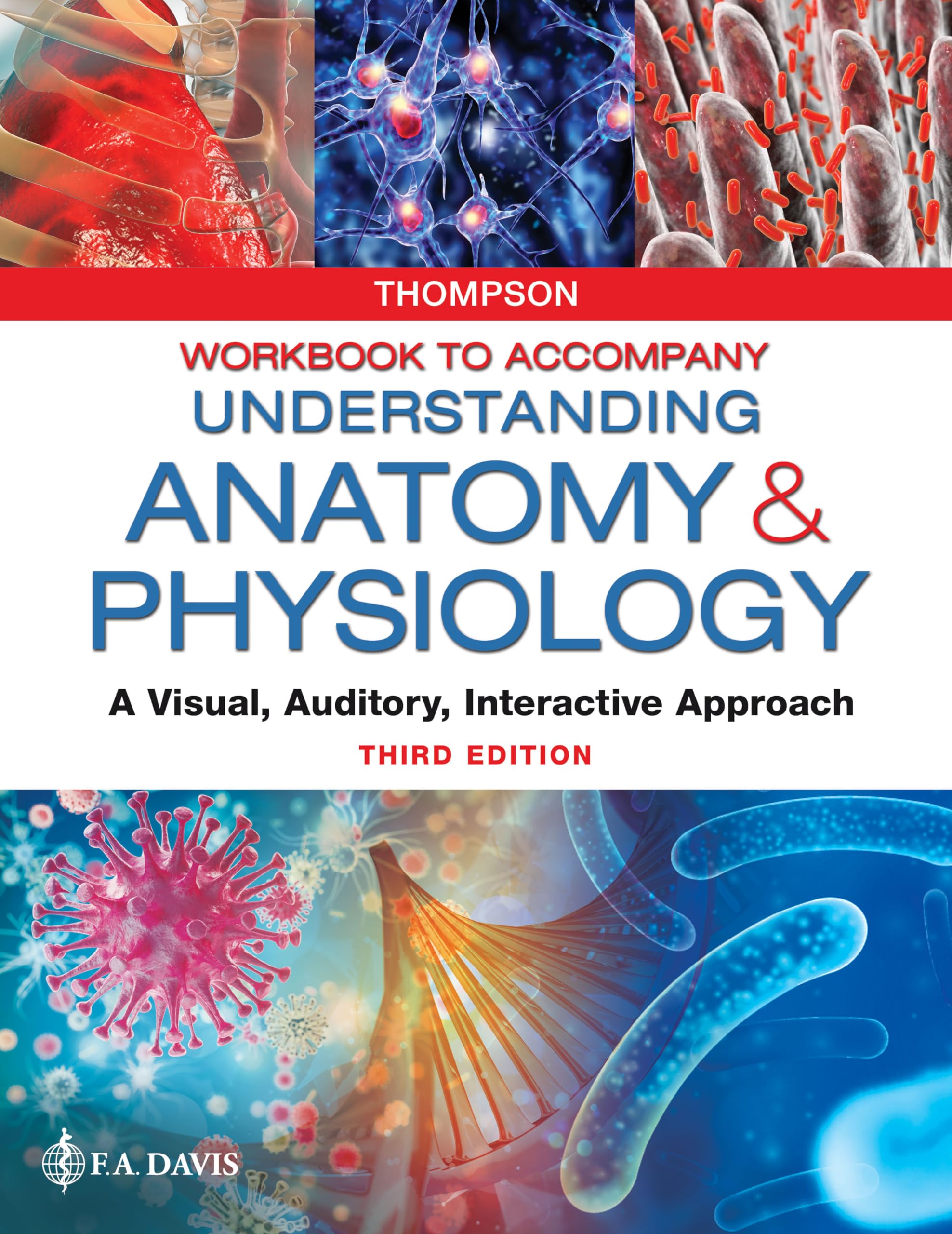 Workbook to Accompany Understanding Anatomy & Physiology: A Visual, Auditory, Interactive Approach Medicine