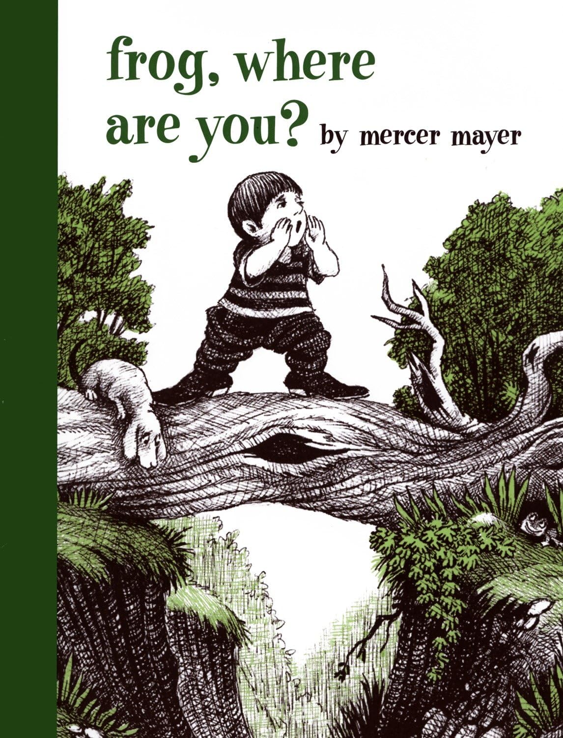 Frog, Where Are You? (A Boy, a Dog, and a Frog) Non-fiction