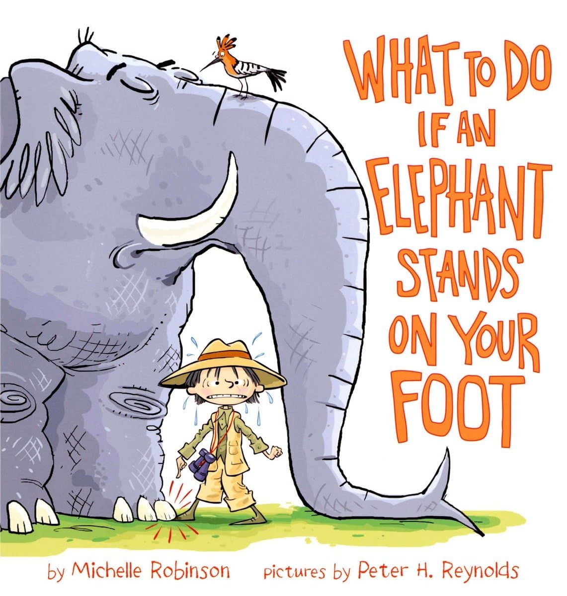 Robinson, M: WHAT TO DO IF AN ELEPHANT STAN Novels & Short Stories
