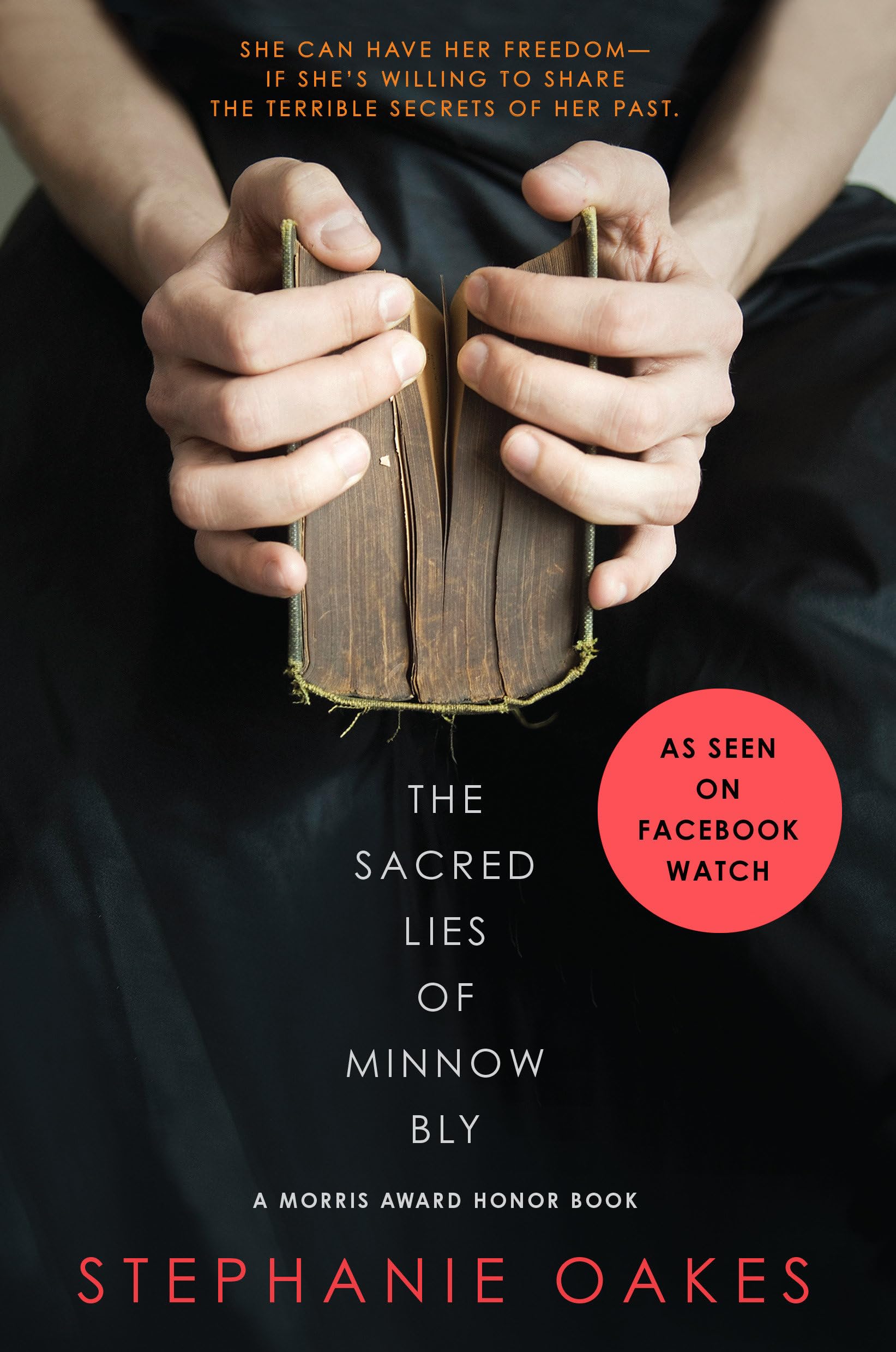 The Sacred Lies of Minnow Bly Fiction