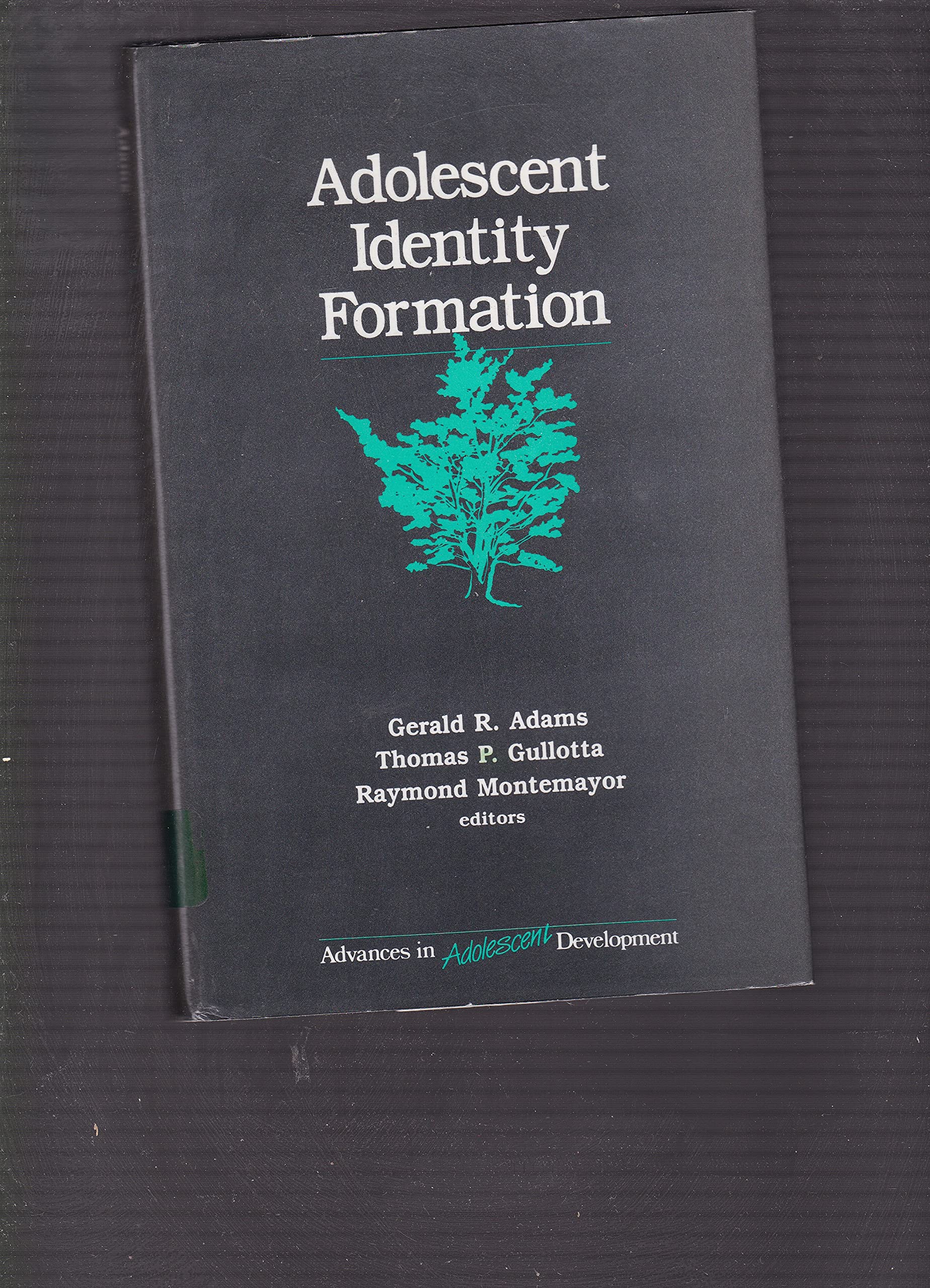 Adolescent Identity Formation (ADVANCES IN ADOLESCENT DEVELOPMENT AN ANNUAL BOOK SERIES) Psychology