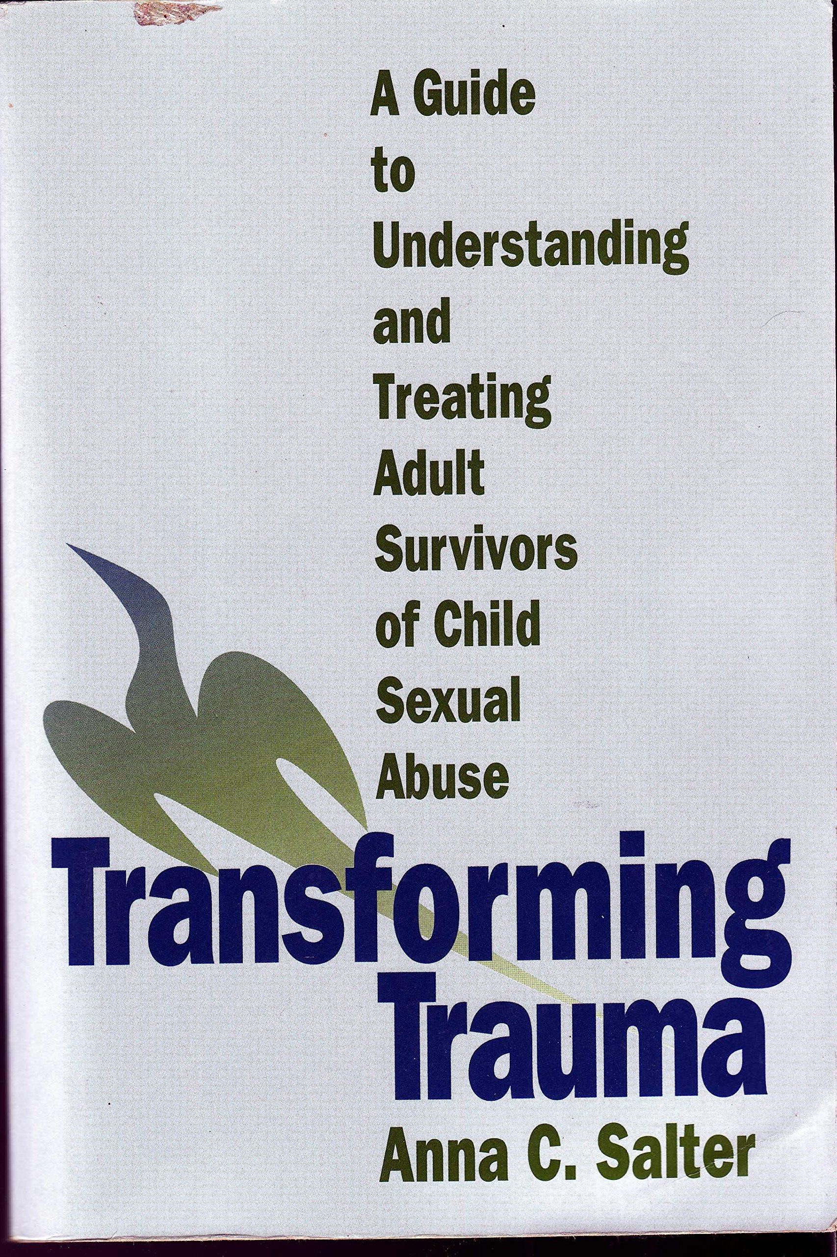 Transforming Trauma: A Guide to Understanding and Treating Adult Survivors of Child Sexual Abuse Medicine