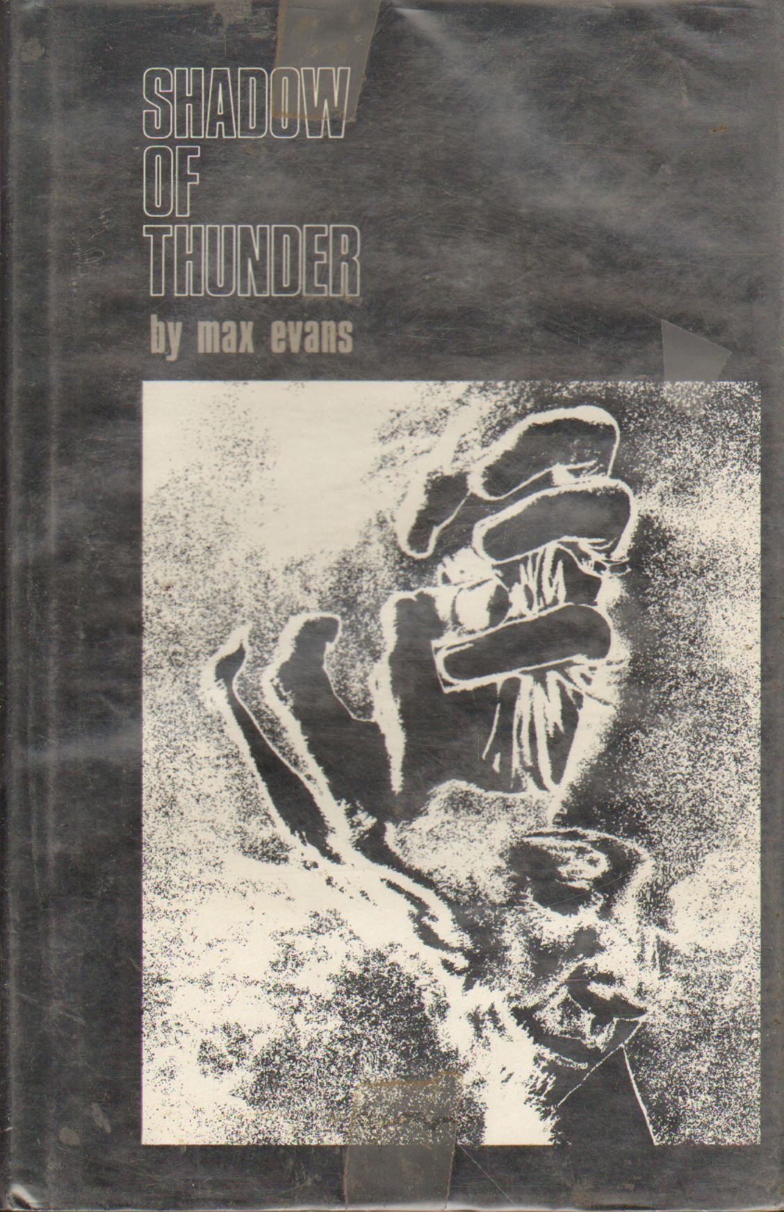 Shadow of Thunder Books