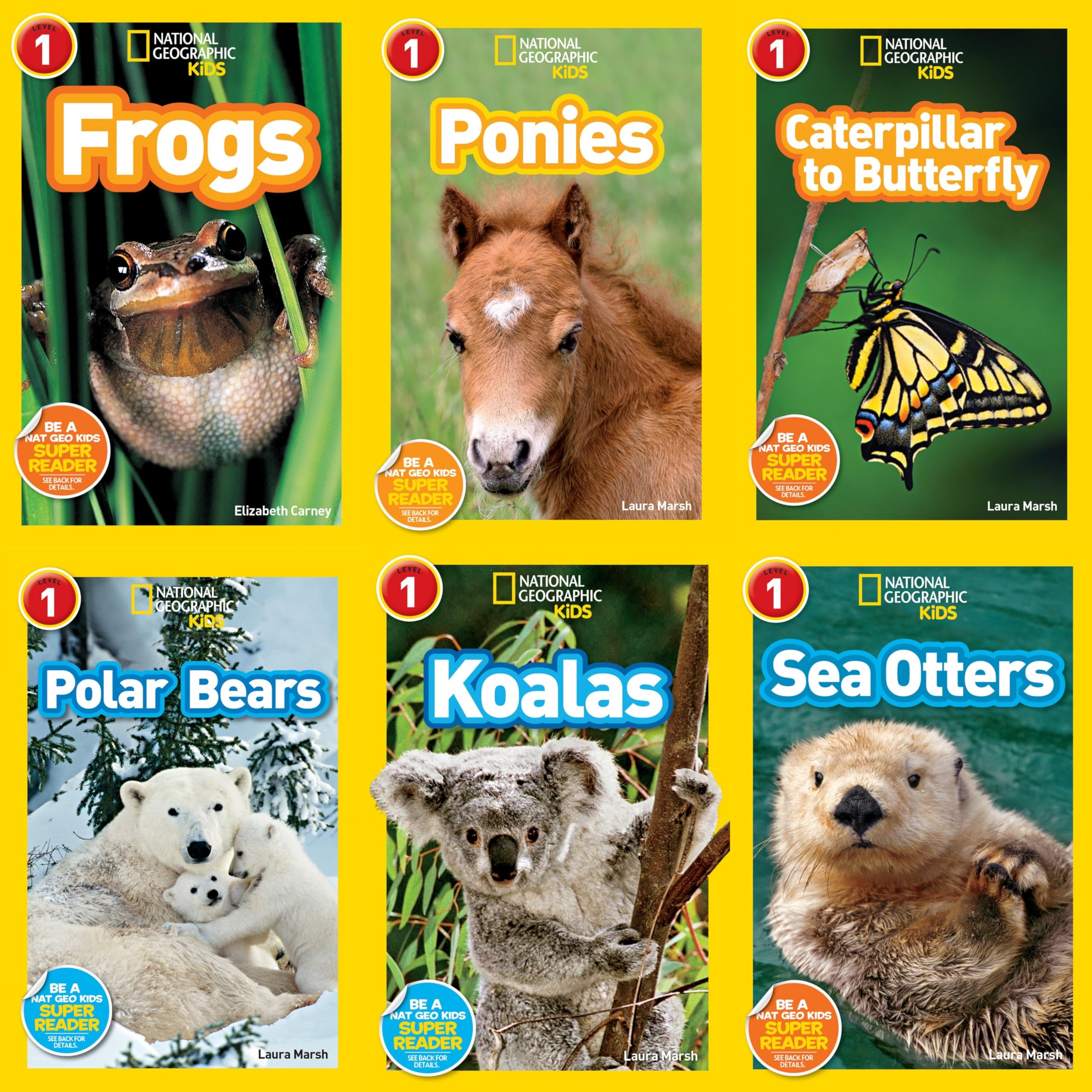 National Geographic Readers Level 1 : Caterpillar to Butterfly, Ponies, Frogs, Koalas, Sea Otters, Polar Bears - 6 Book Set Books