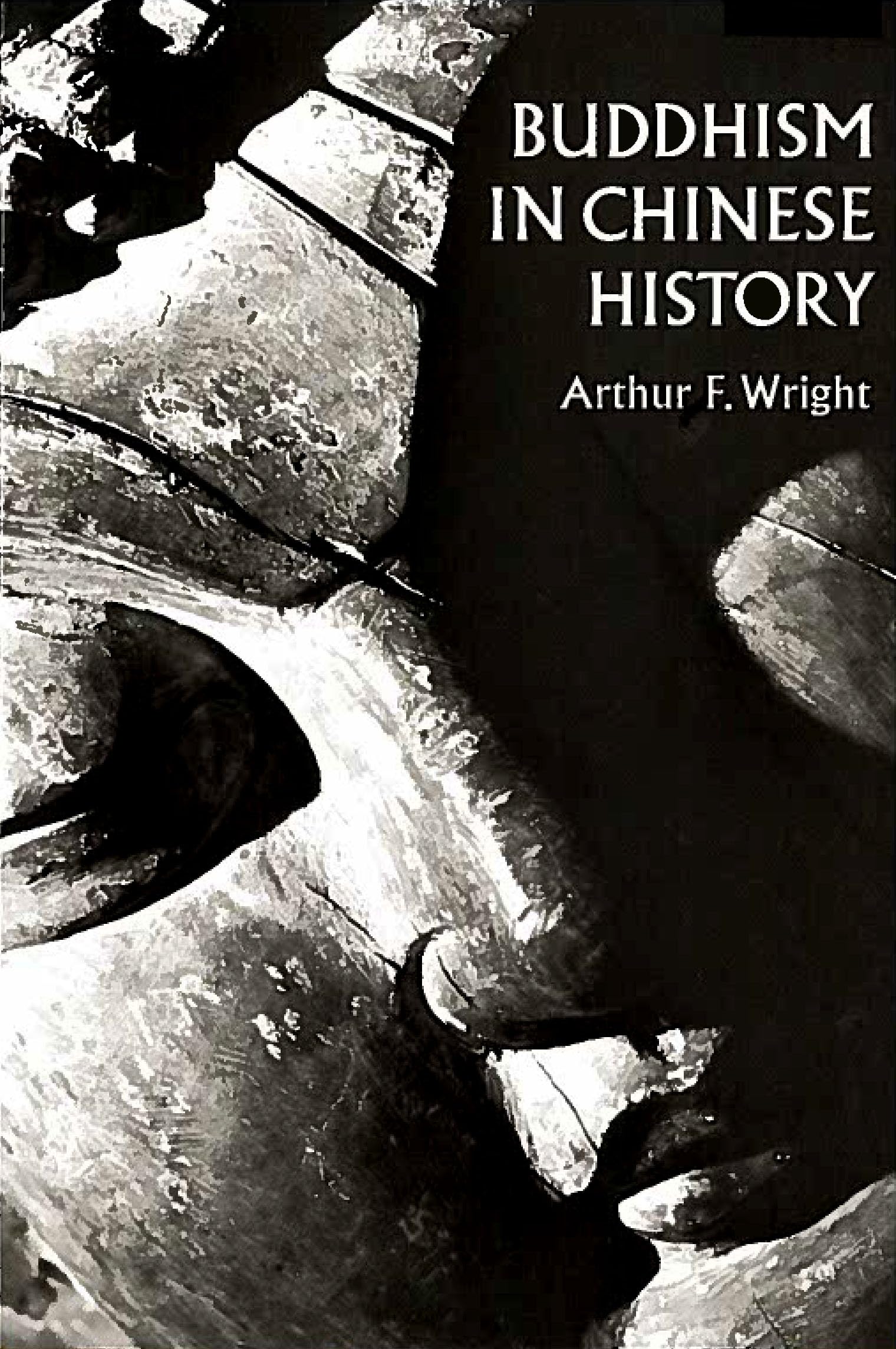 Buddhism in Chinese History Social Sciences Books