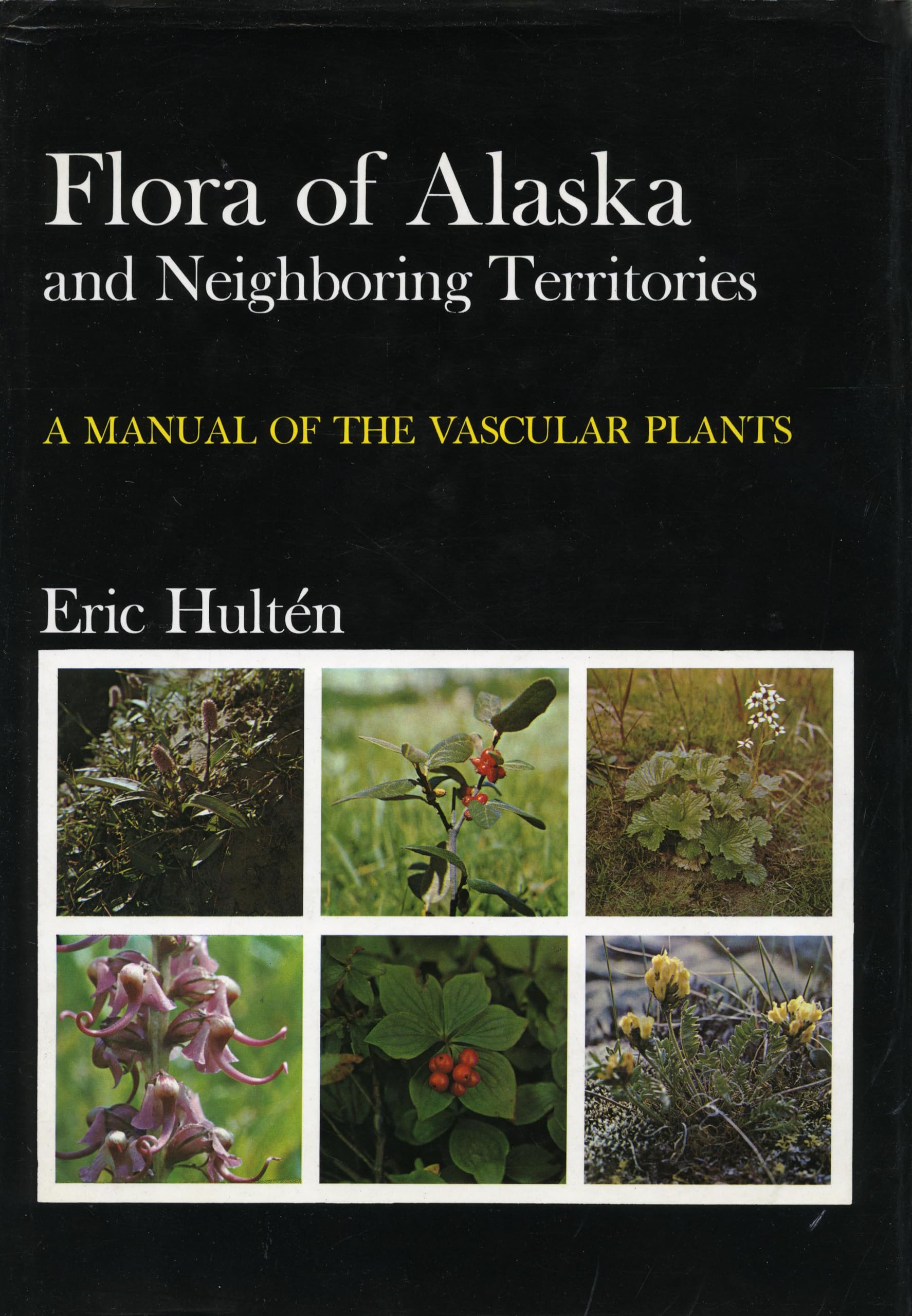 Flora of Alaska and Neighboring Territories Mathematics