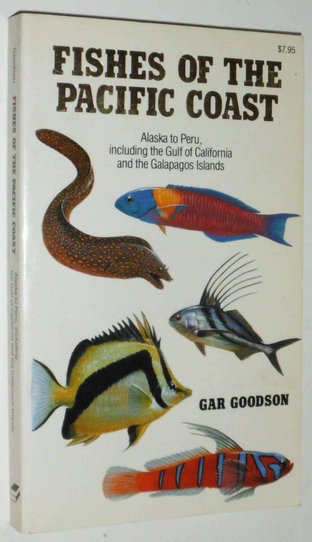 Fishes of the Pacific Coast: Alaska to Peru, Including the Gulf of California and the Galapagos Islands: From Alaska to Peru Mathematics