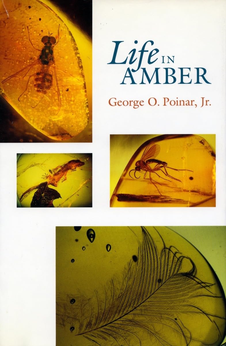 Life in Amber Mathematics