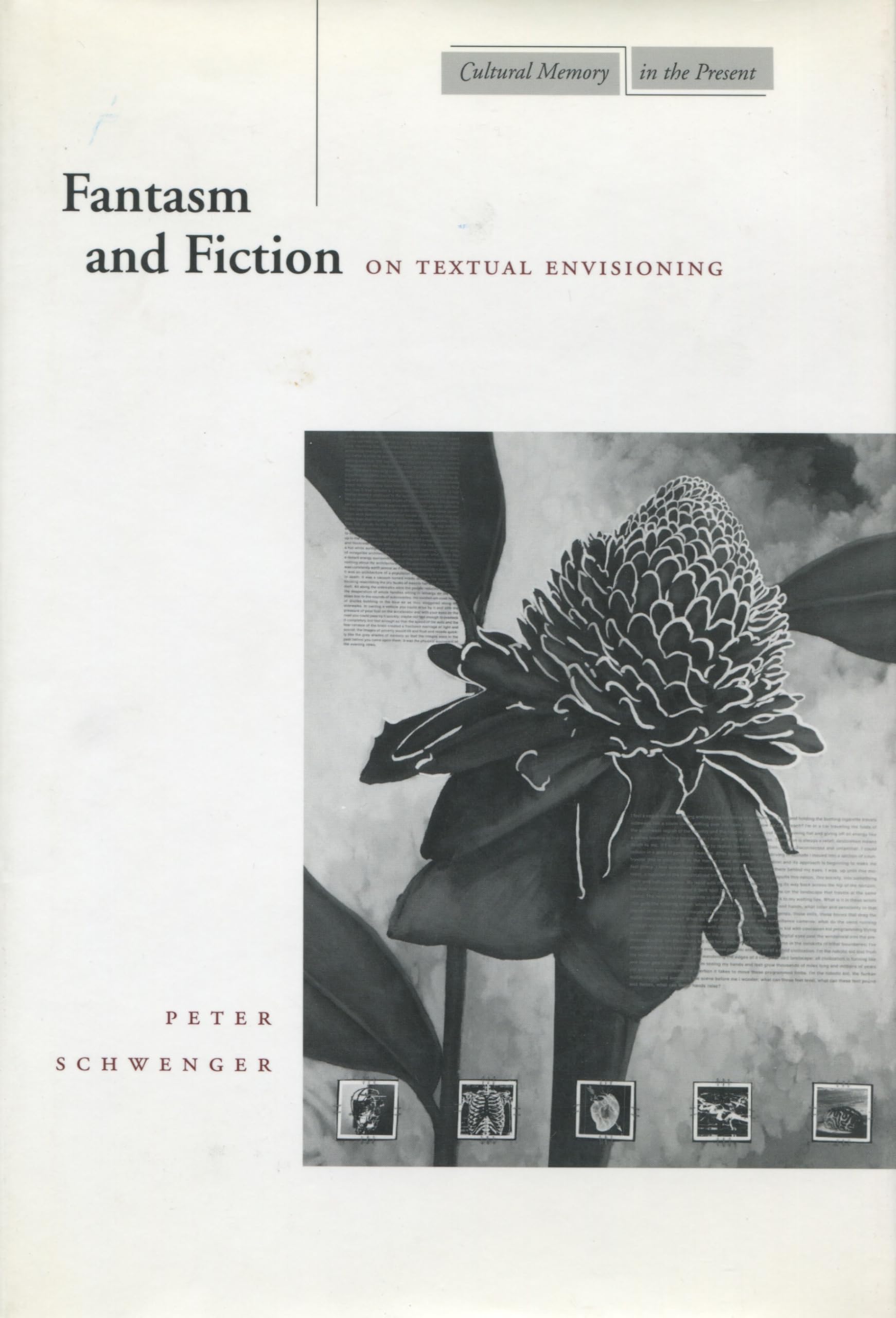 Fantasm and Fiction: On Textual Envisioning (Cultural Memory in the Present) Contemporary literature
