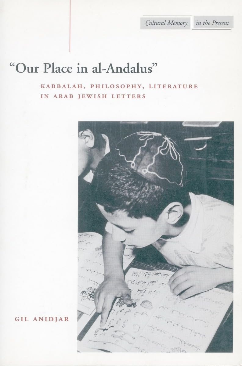 'Our Place in al-Andalus': Kabbalah, Philosophy, Literature in Arab Jewish Letters (Cultural Memory in the Present) Medicine