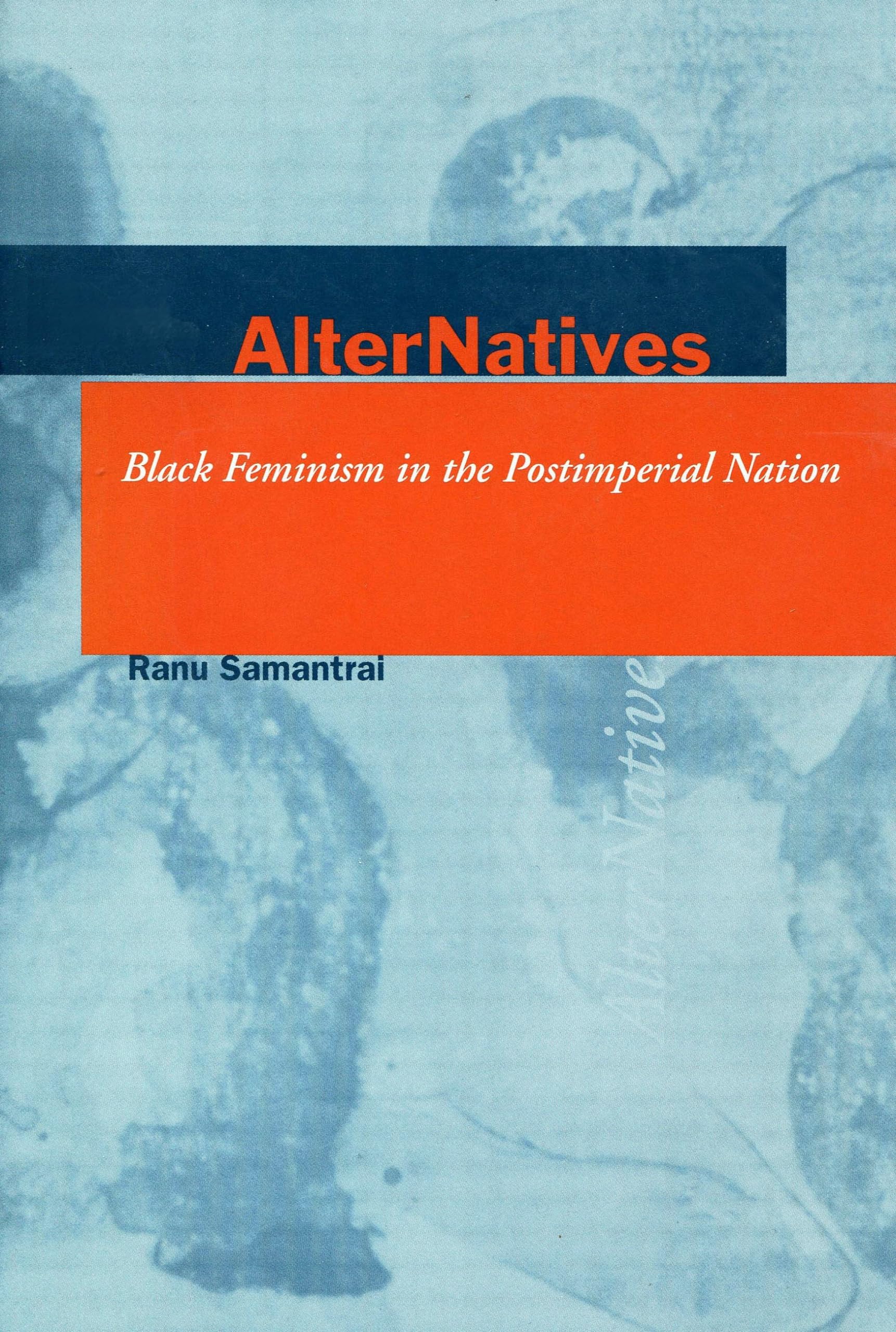 Alternatives: Black Feminism in the Postimperial Nation (Cultural Sitings) Books