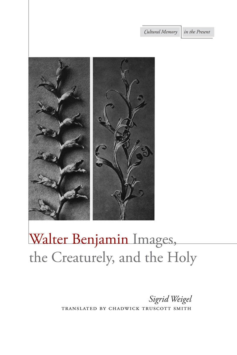 Walter Benjamin: Images, the Creaturely, and the Holy (Cultural Memory in the Present) Philosophy