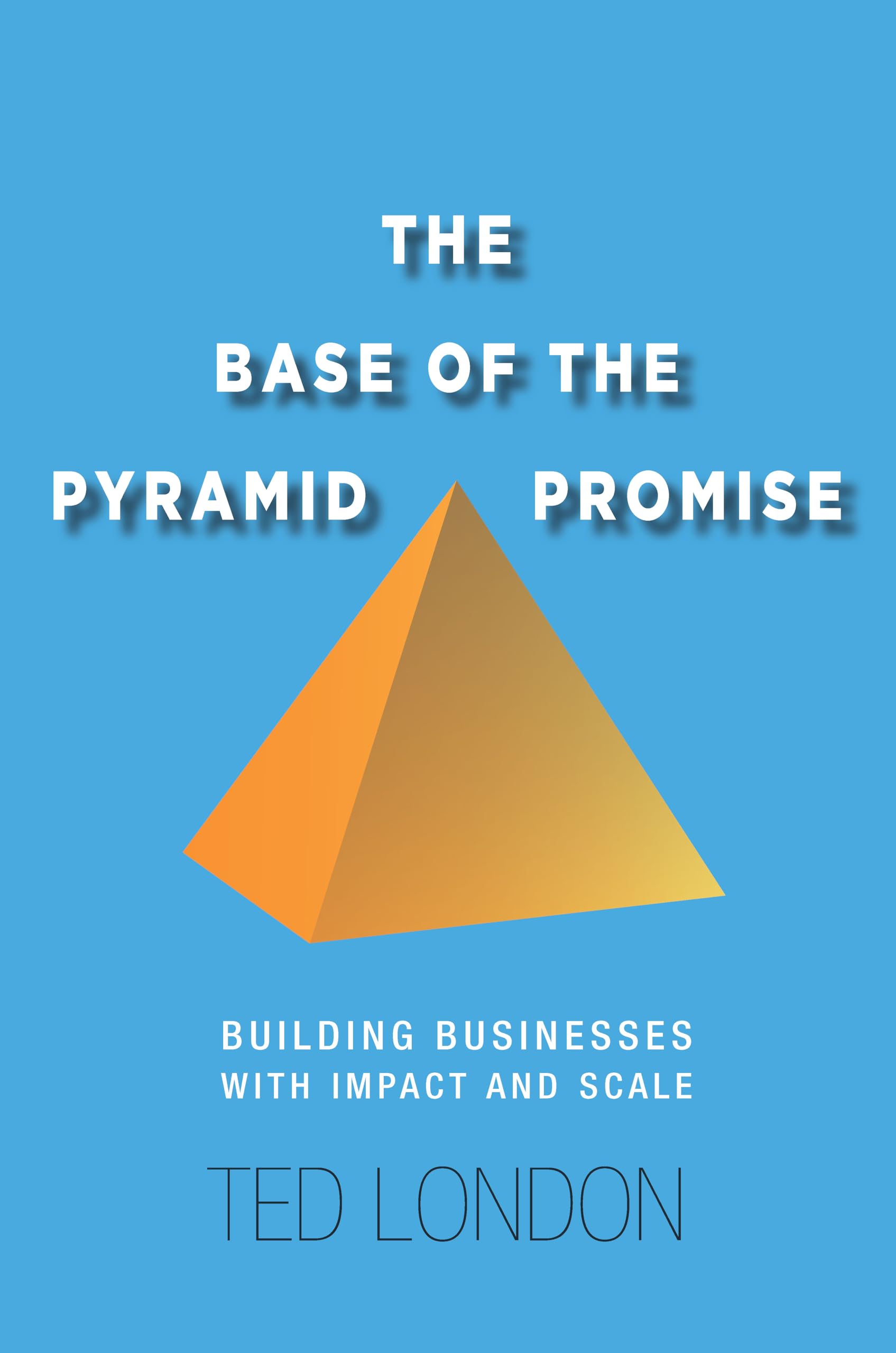 The Base of the Pyramid Promise: Building Businesses With Impact and Scale book