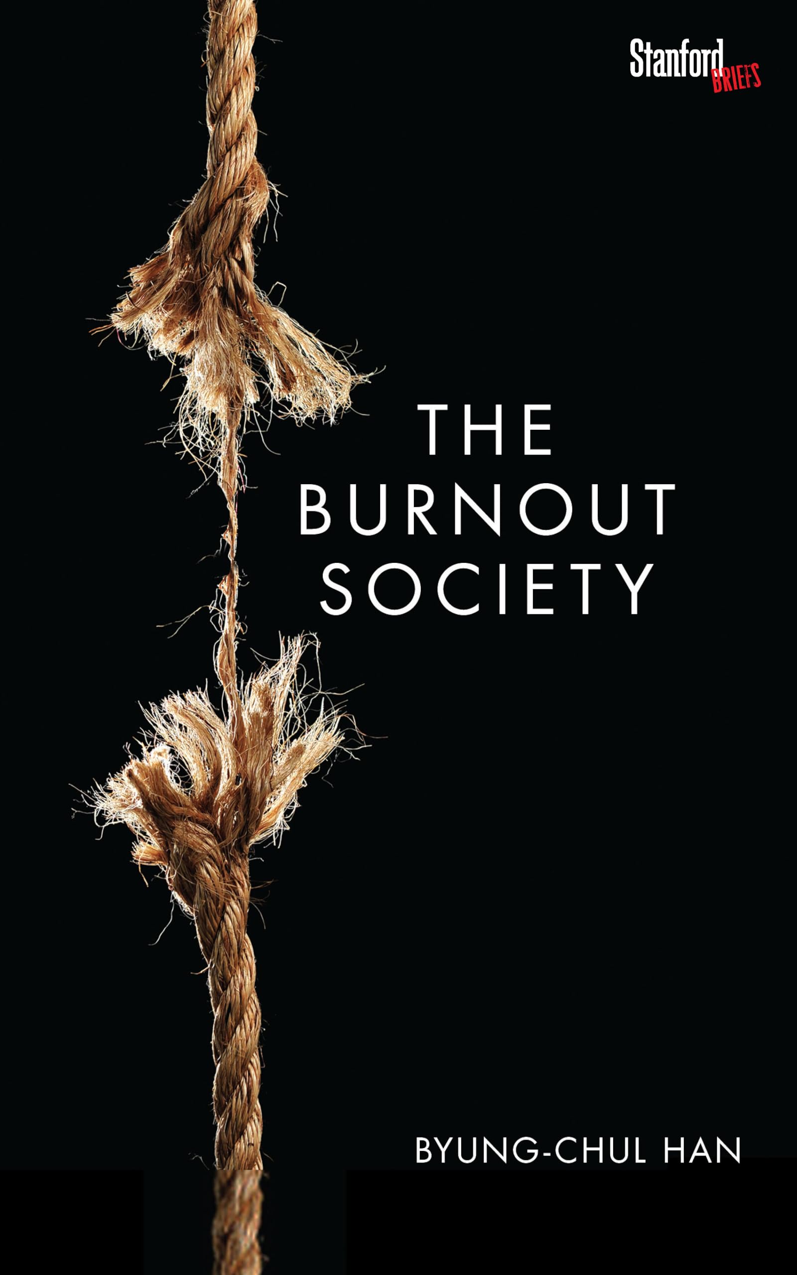 Product Image: The Burnout Society