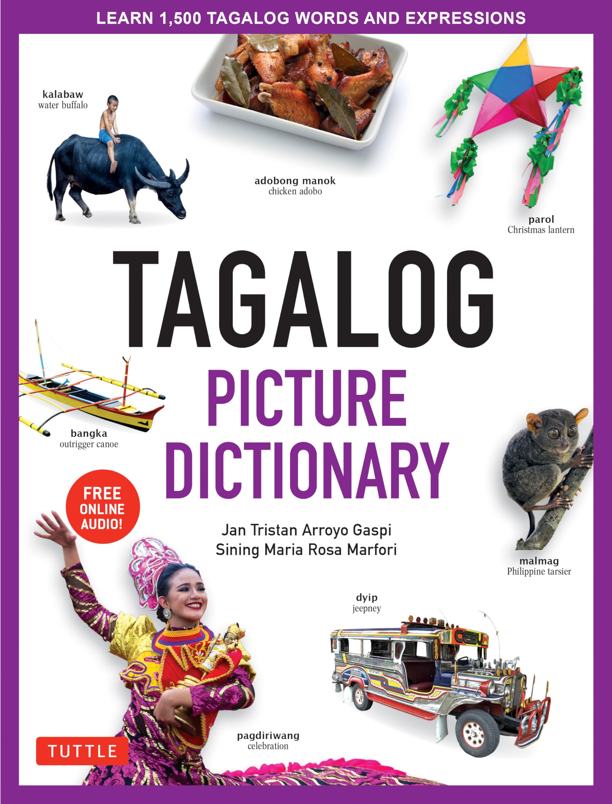 Tagalog Picture Dictionary: Learn 1,500 Tagalog Words and Expressions (Tuttle Picture Dictionary) Medicine