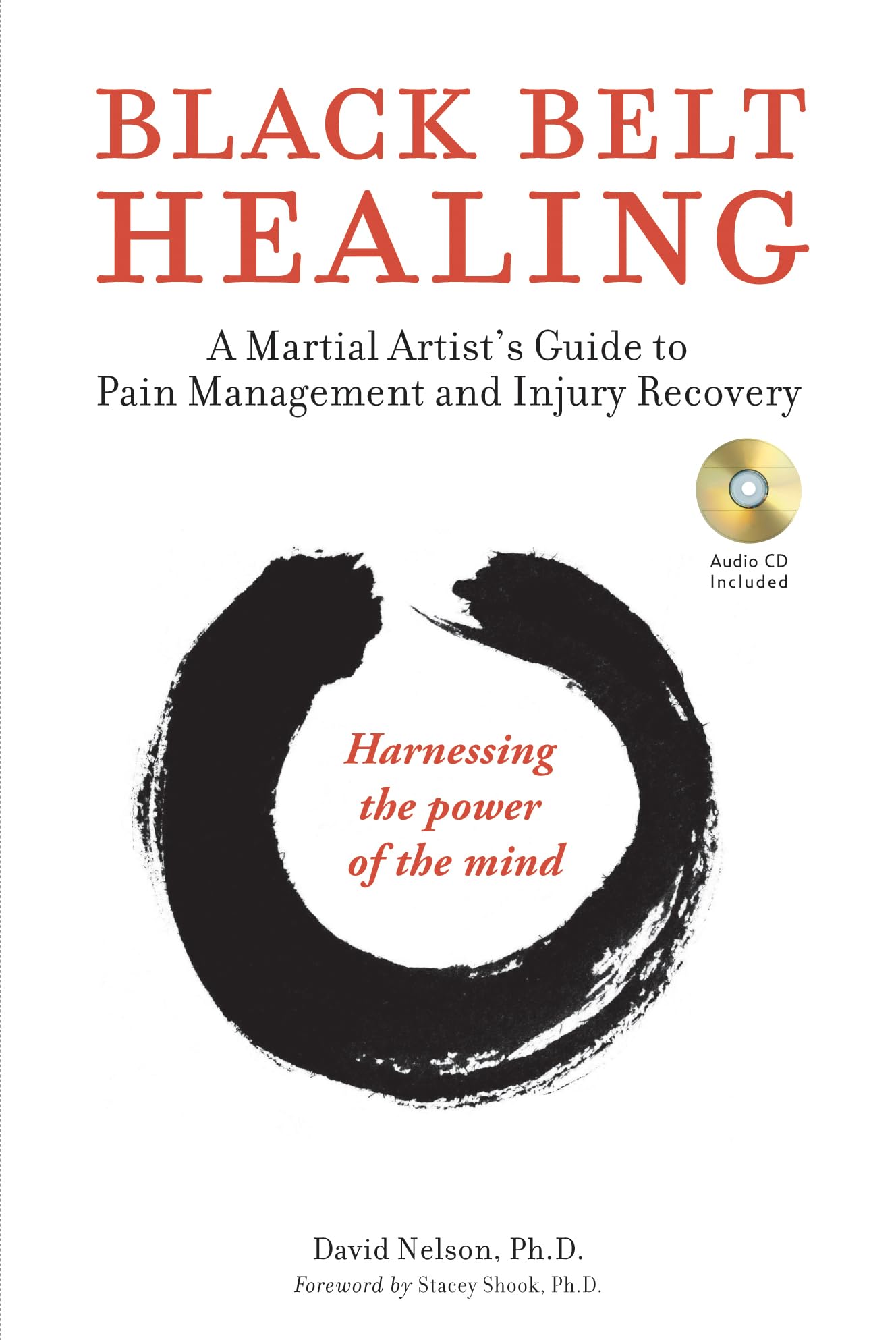 Black Belt Healing: A Martial Artist's Guide to Pain Management and Injury Recovery Harnessing the Power of the Mind book