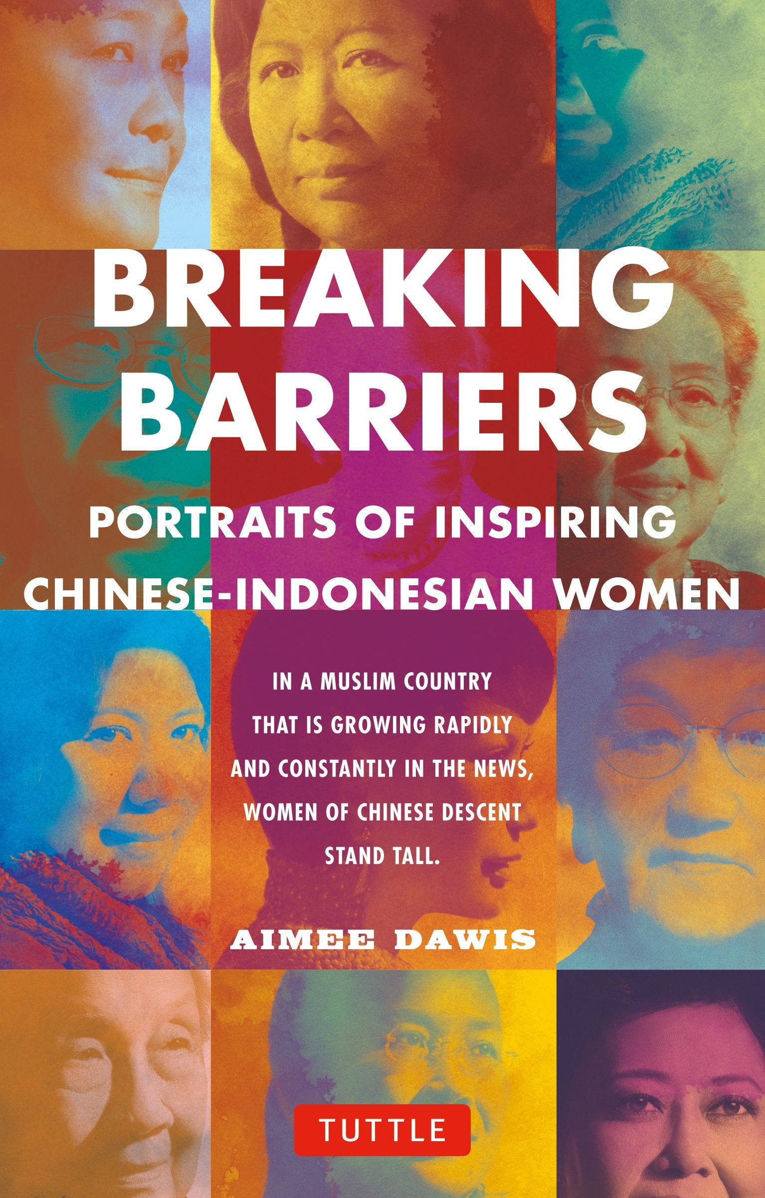 Breaking Barriers: Portraits of Inspiring Chinese-Indonesian Women Books