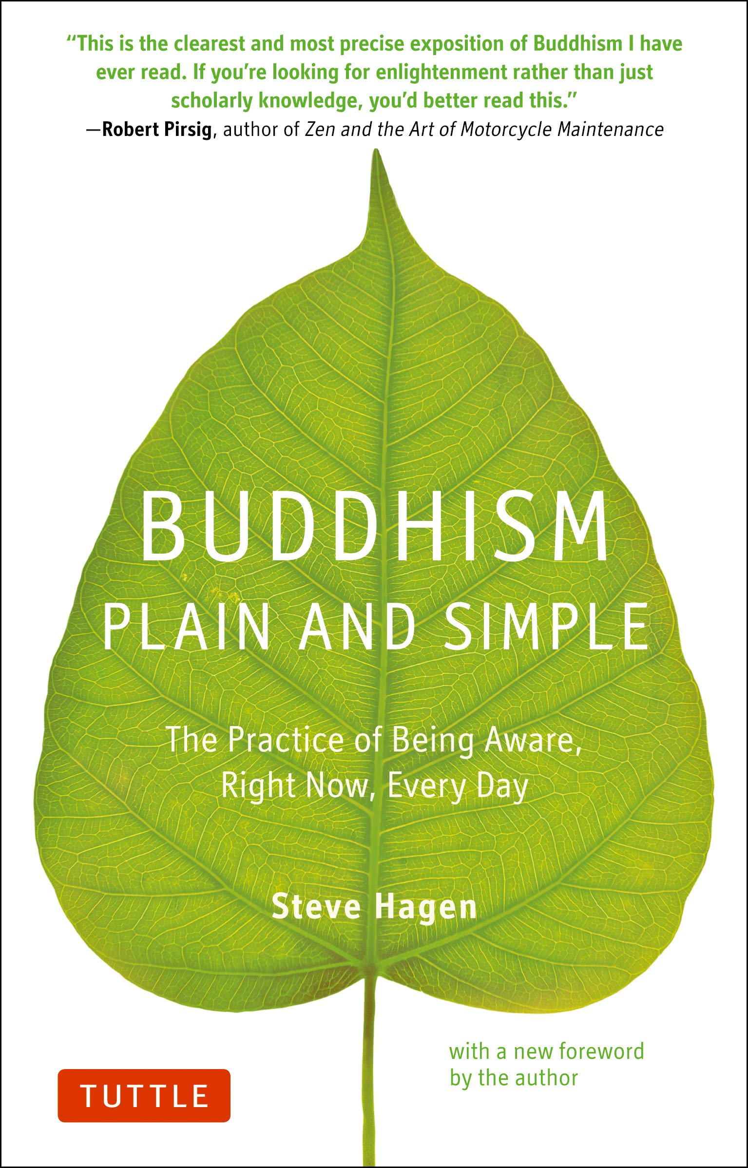 Buddhism Plain and Simple: The Practice of Being Aware Right Now, Every Day Philosophy