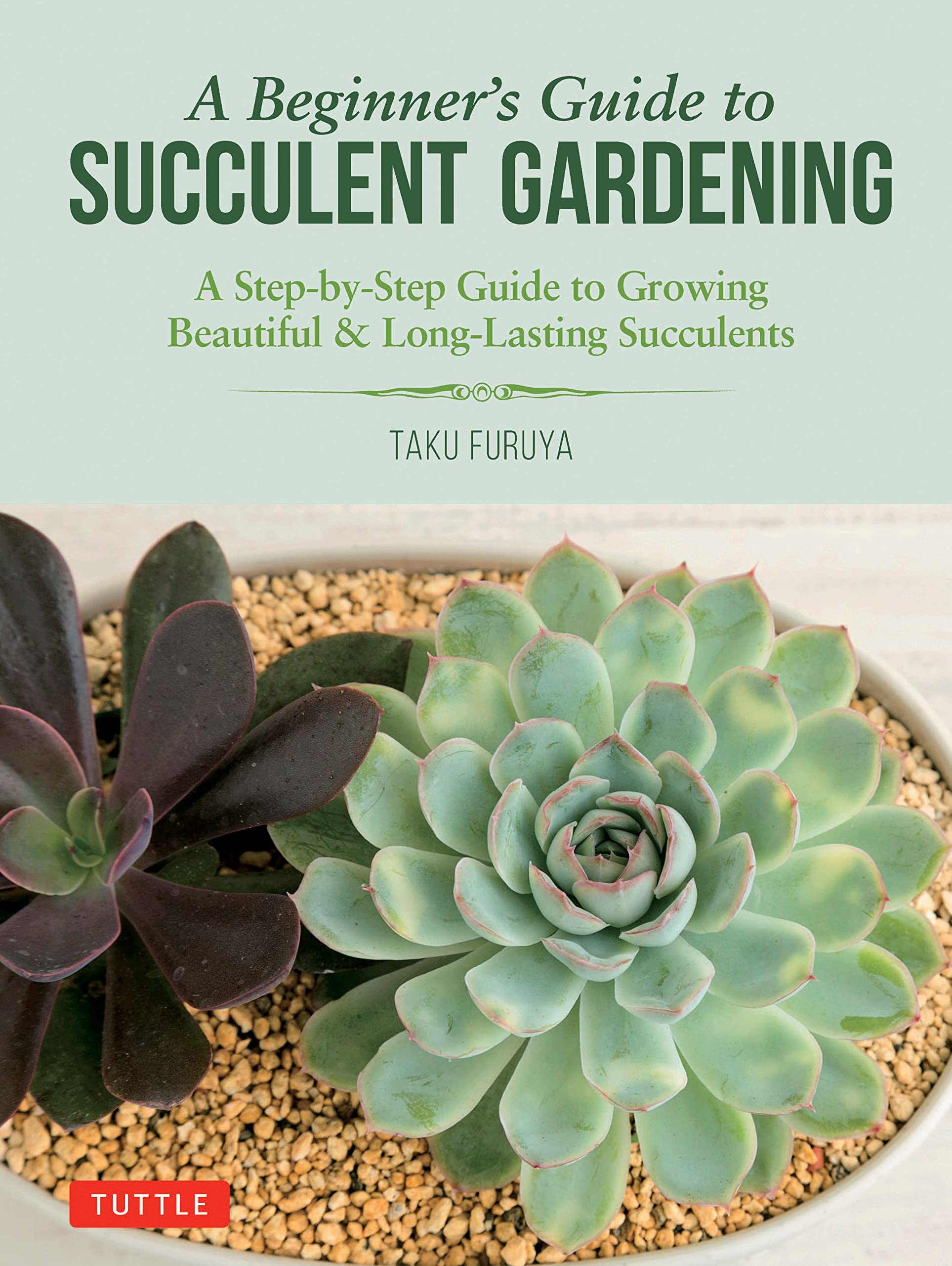 A Beginner's Guide to Succulent Gardening: A Step-by-Step Guide to Growing Beautiful & Long-lasting Succulents Mathematics