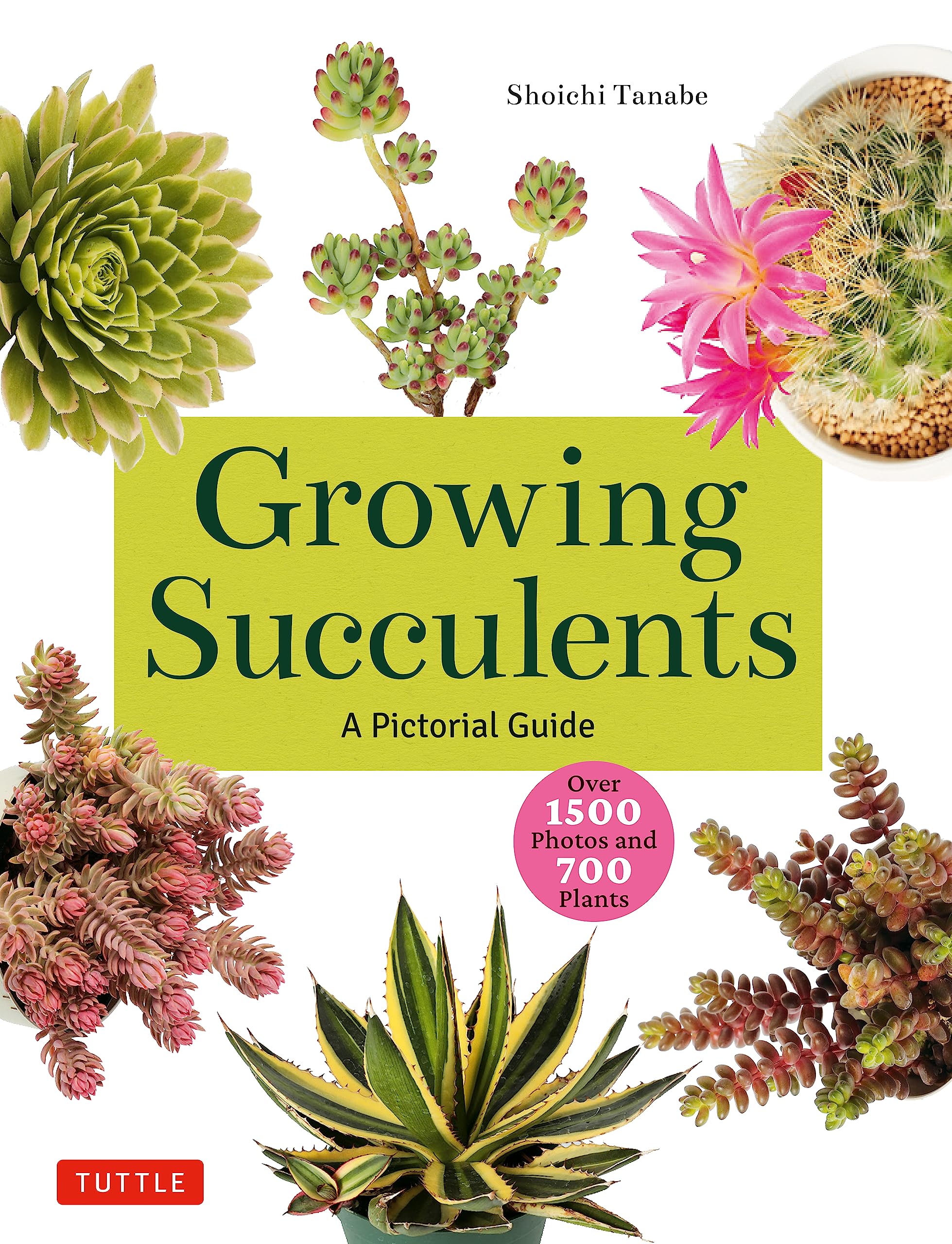 Growing Succulents: A Pictorial Guide Mathematics