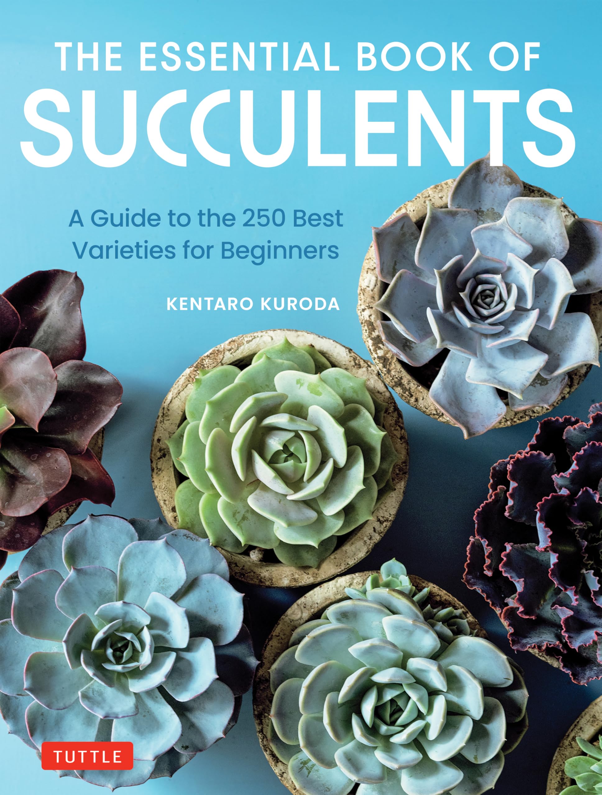 The Essential Book of Succulents: A Guide to the 250 Best Varieties for Beginners Mathematics