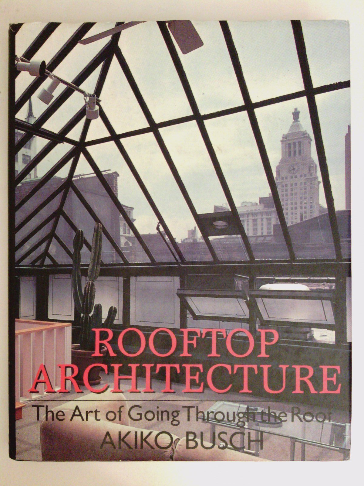 Rooftop Architecture: The Art of Going Through the Roof Architecture