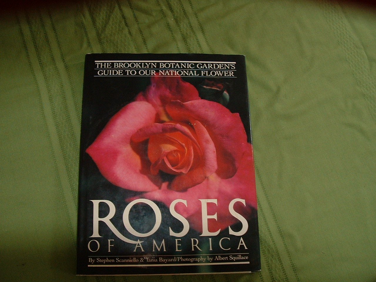 Roses of America Garden & Plants
