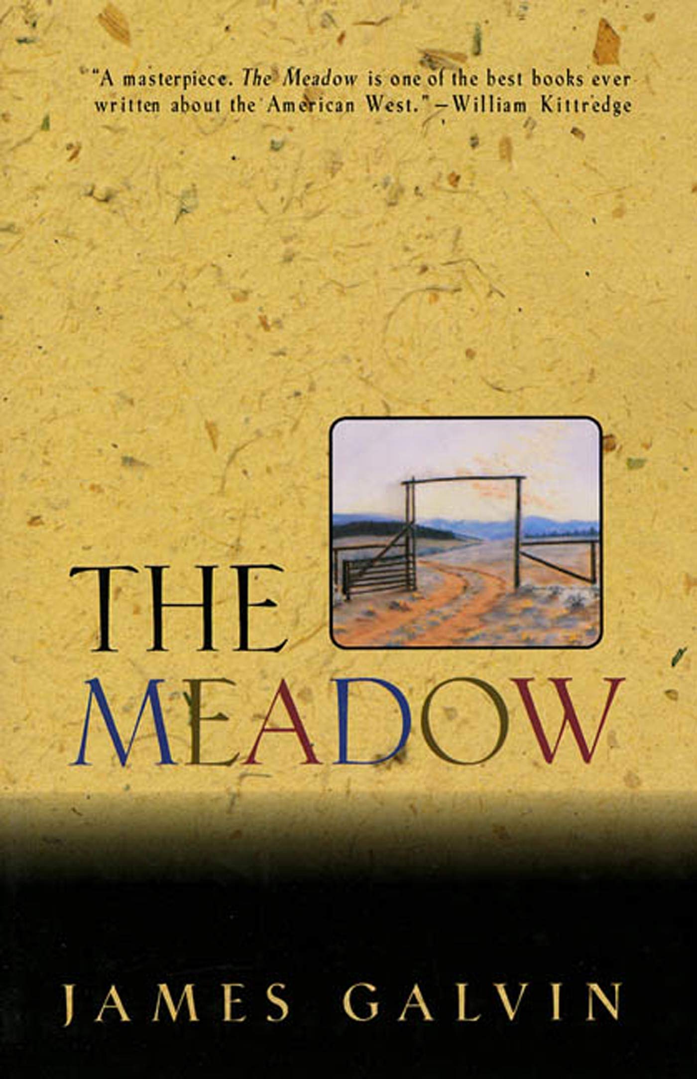 The Meadow Contemporary literature Books
