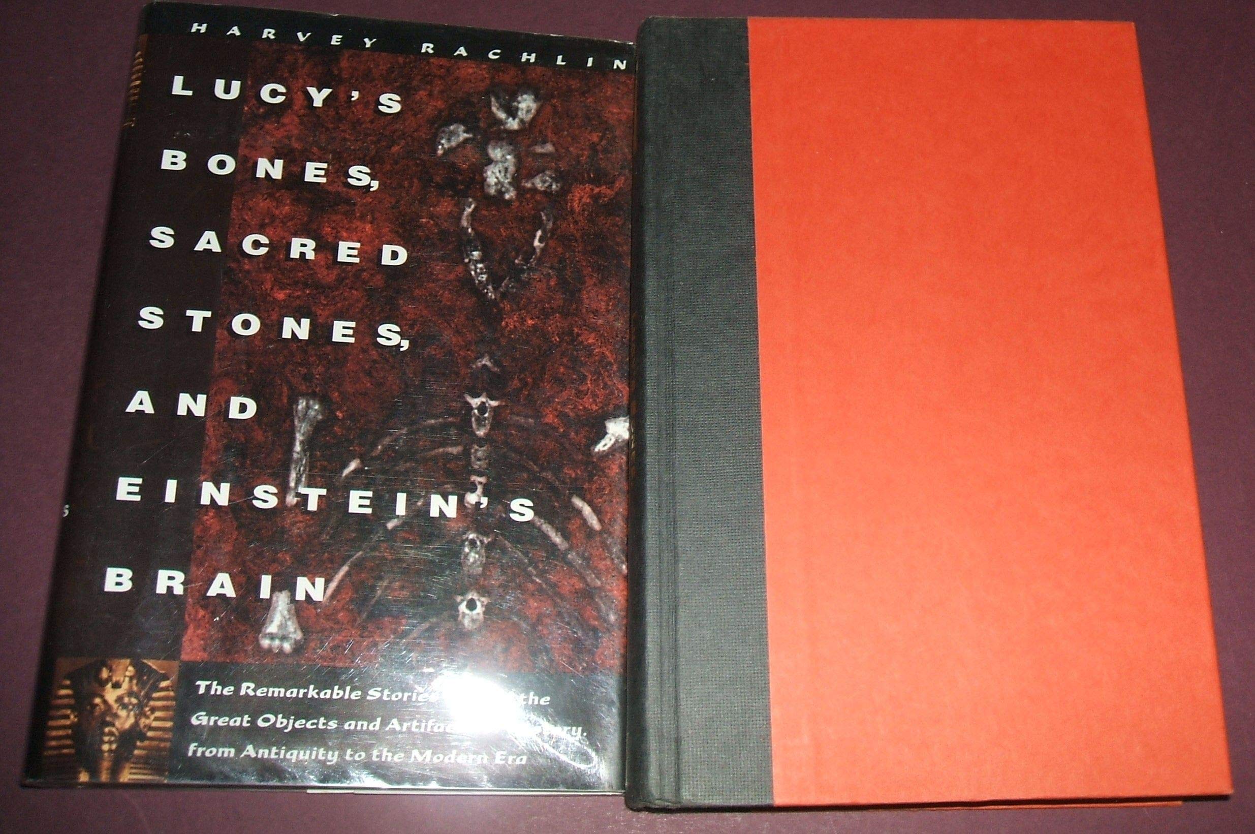 Lucy's Bones, Sacred Stones, & Einstein's Brain: The Remarkable Stories Behind the Great Objects and Artifacts of History, from Antiquity to the Modern Era (Henry Holt Reference Book) Books